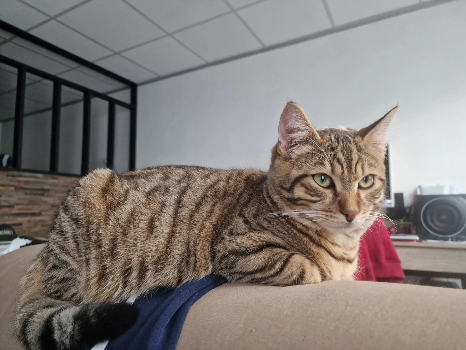 Adés - Rue De Bizaleix, Issoire