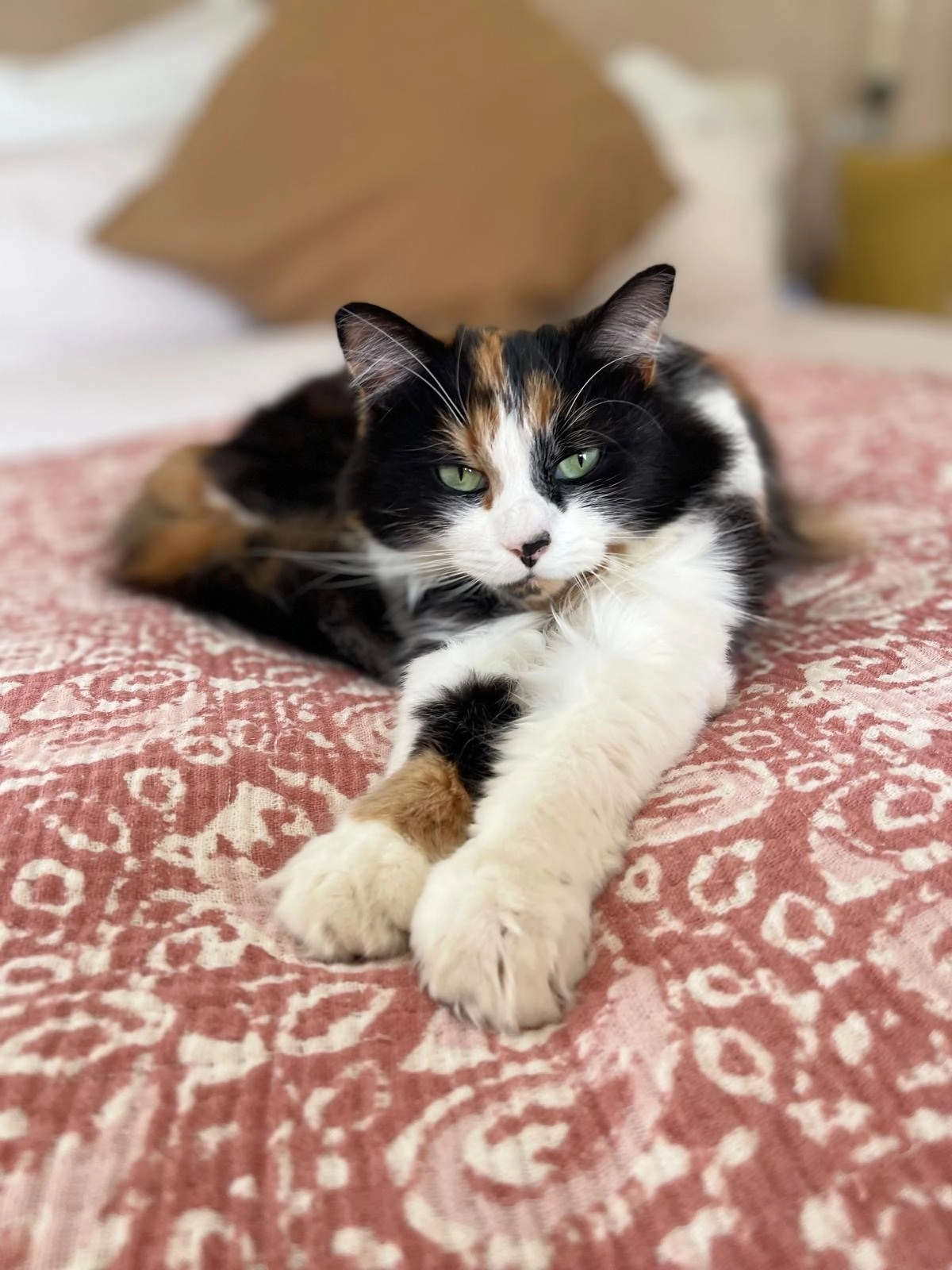 Sixty - Holtsmere End Lane, St Albans