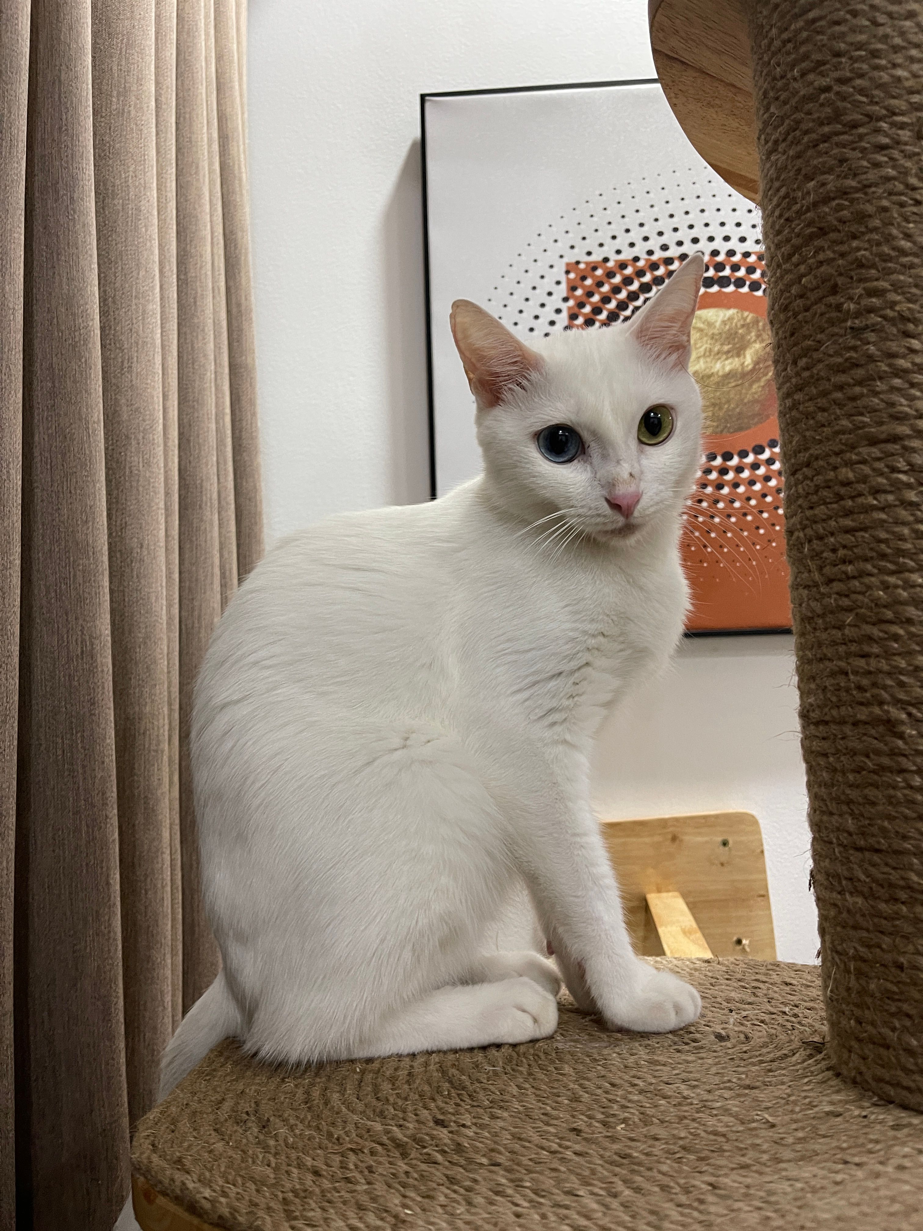 NaNa - タオディエン区, ホーチミン市