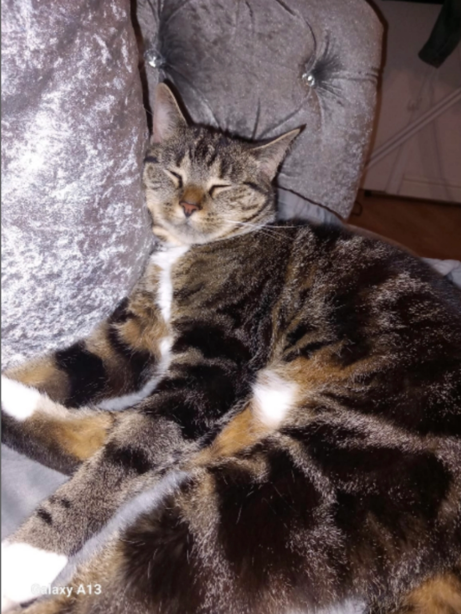 Narla - L9 0, Liverpool