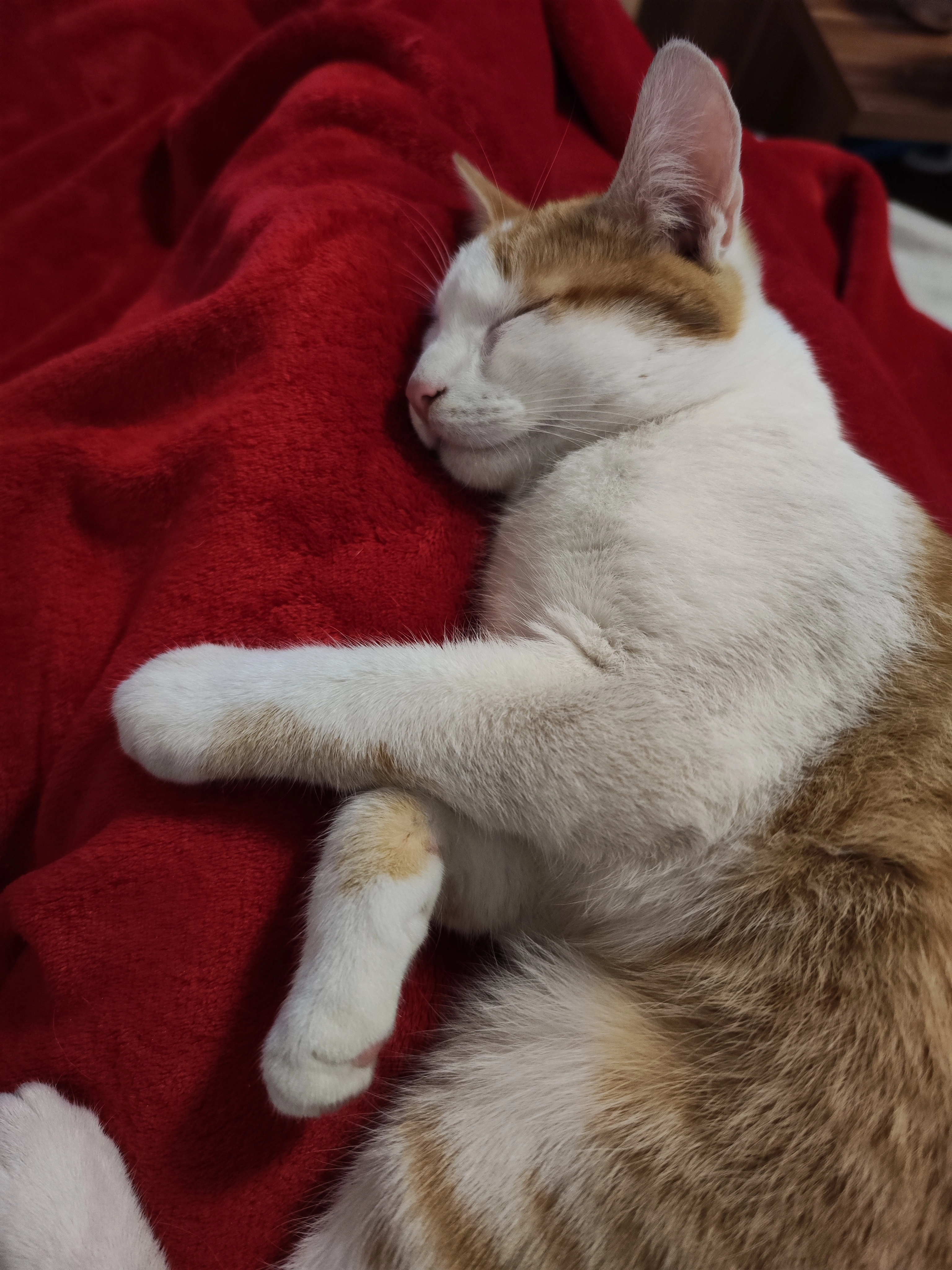 NoName  - Homberger Straße, Rabenau