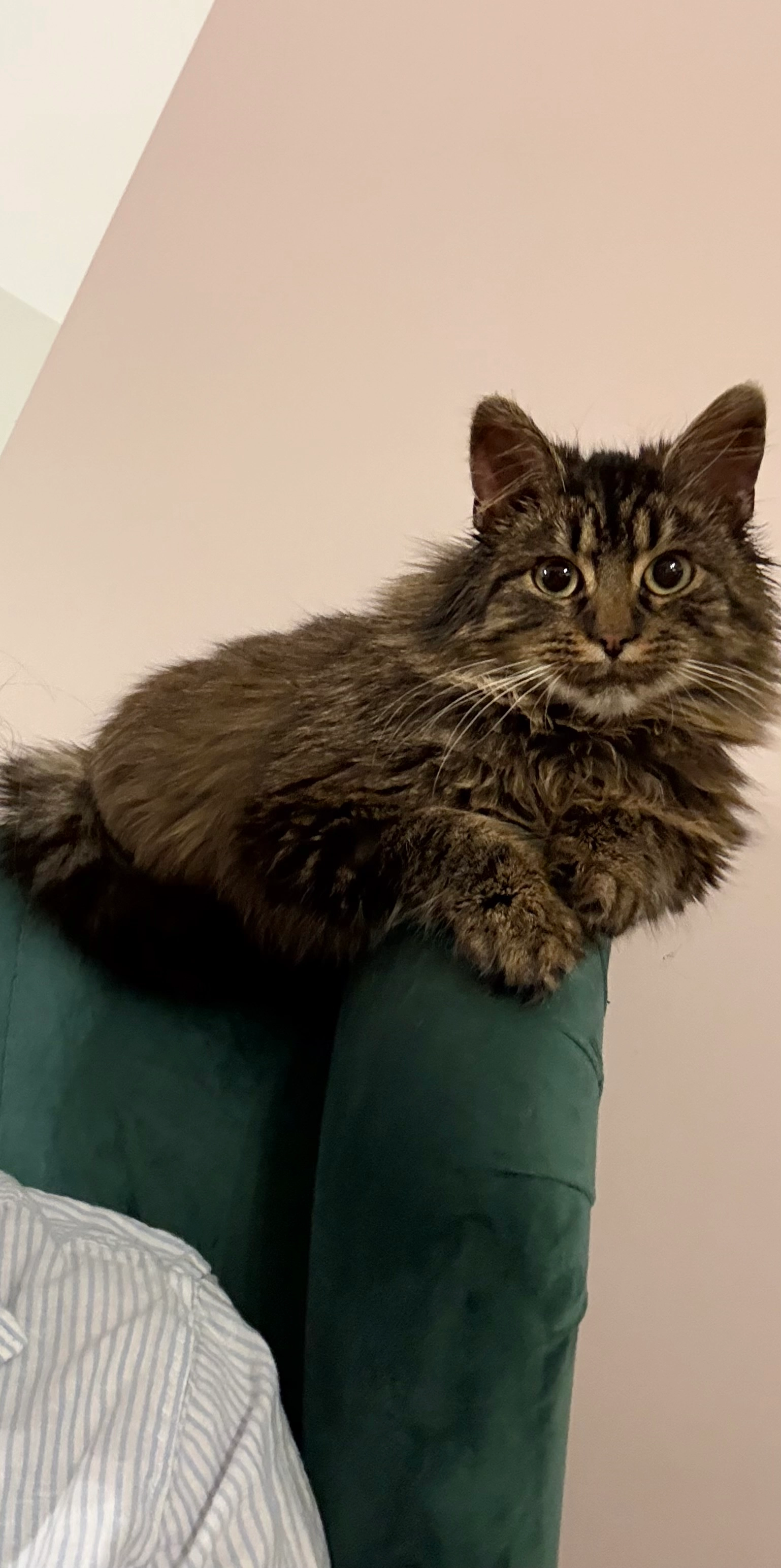 Pusia - Czerwonego Prądnika, Kraków