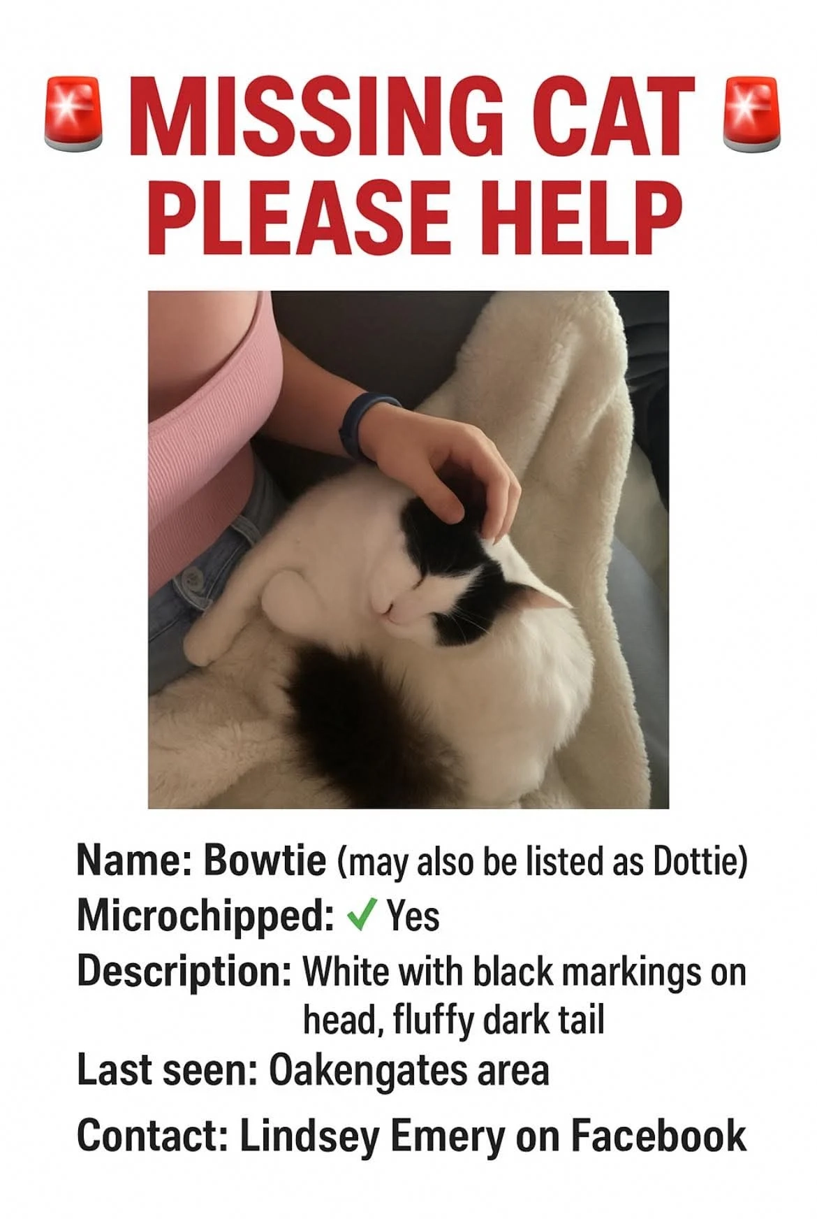 Bow tie or dotty - Bowling Green Close, Telford
