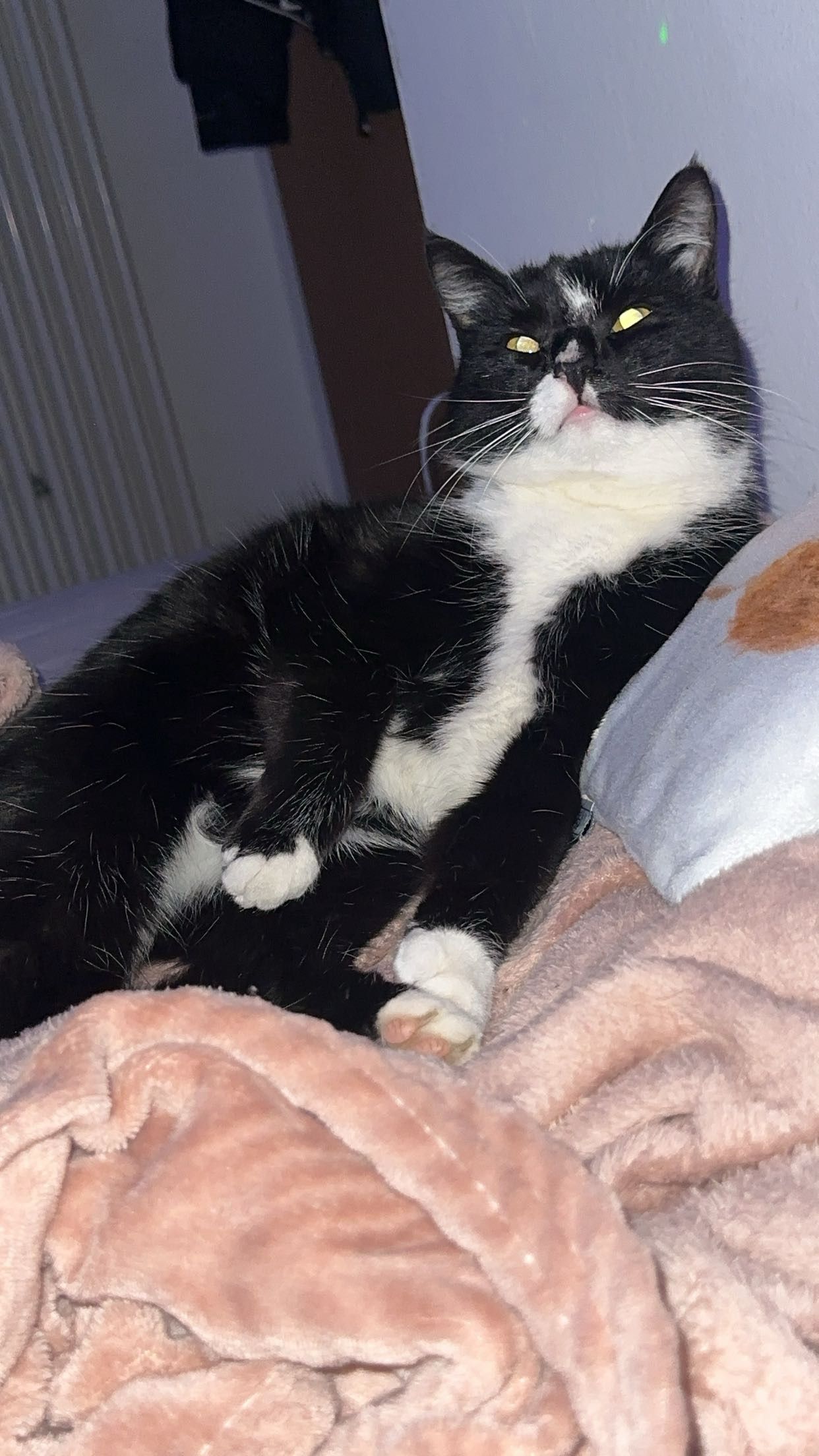 Murka - Trostberger Straße, Traunreut