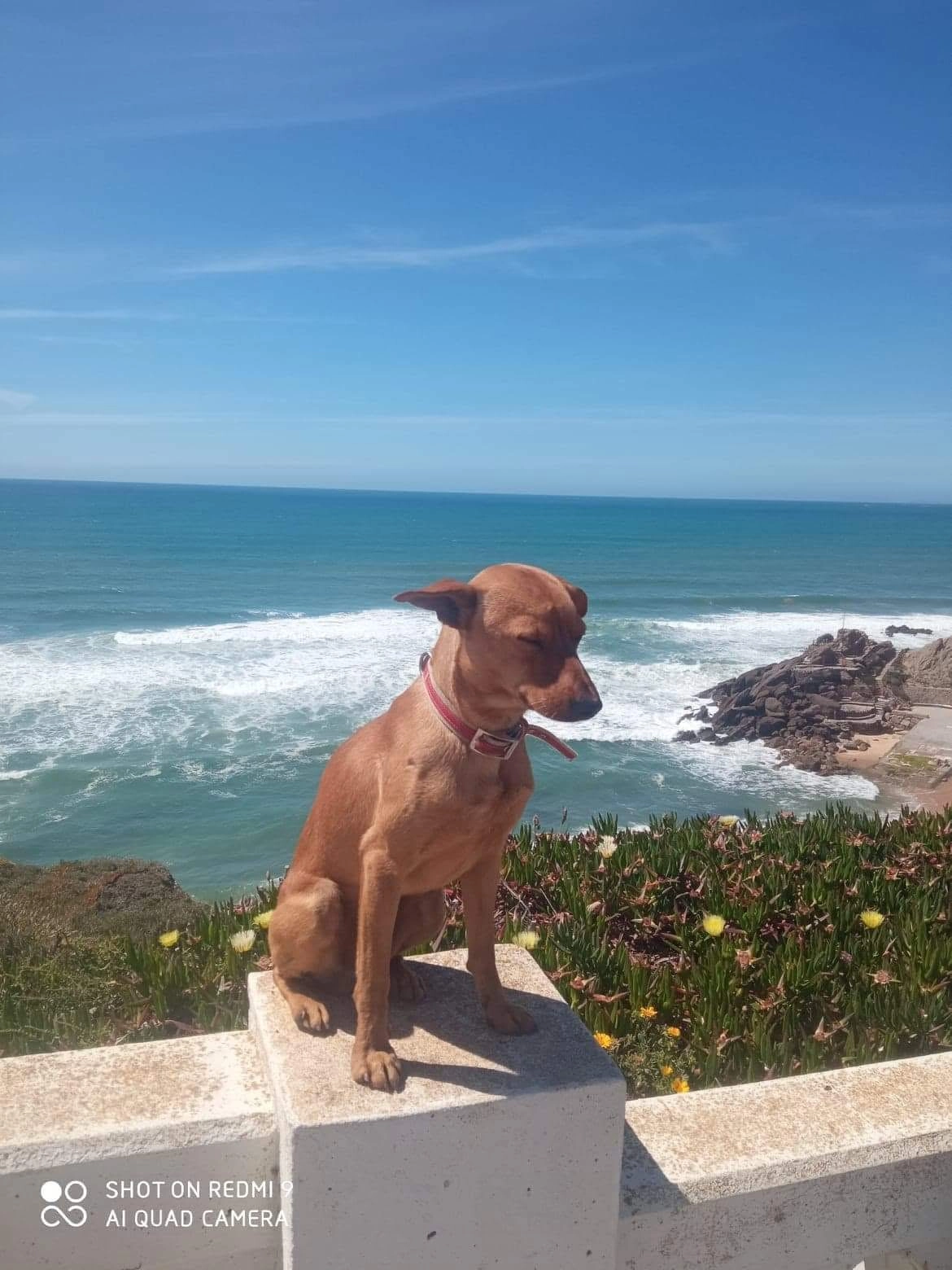 Simba - Rua De São Miguel, Torres Vedras