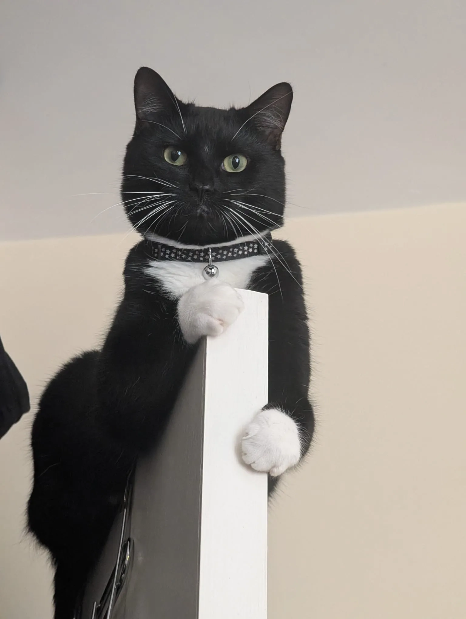 Whiskey - Russell Road, Birmingham