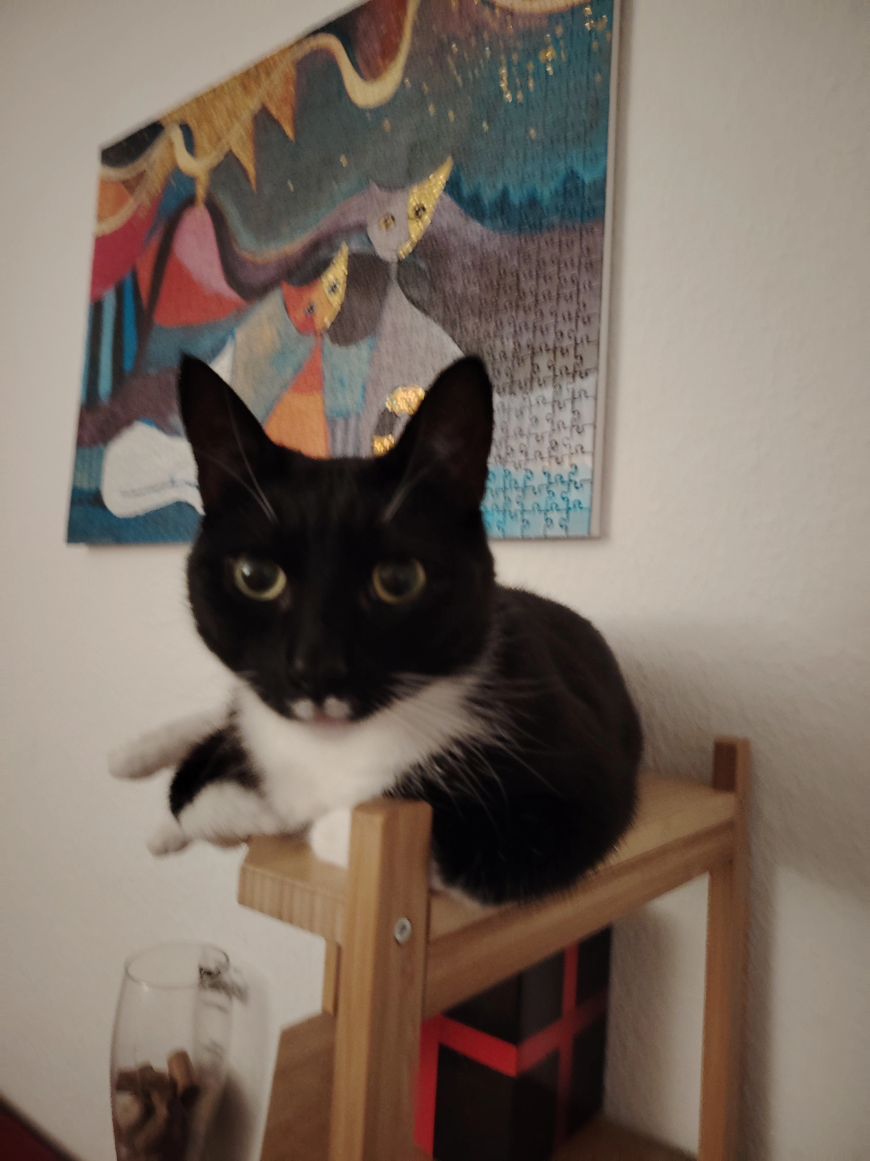 Figo - Morgenstraße, Magdeburg