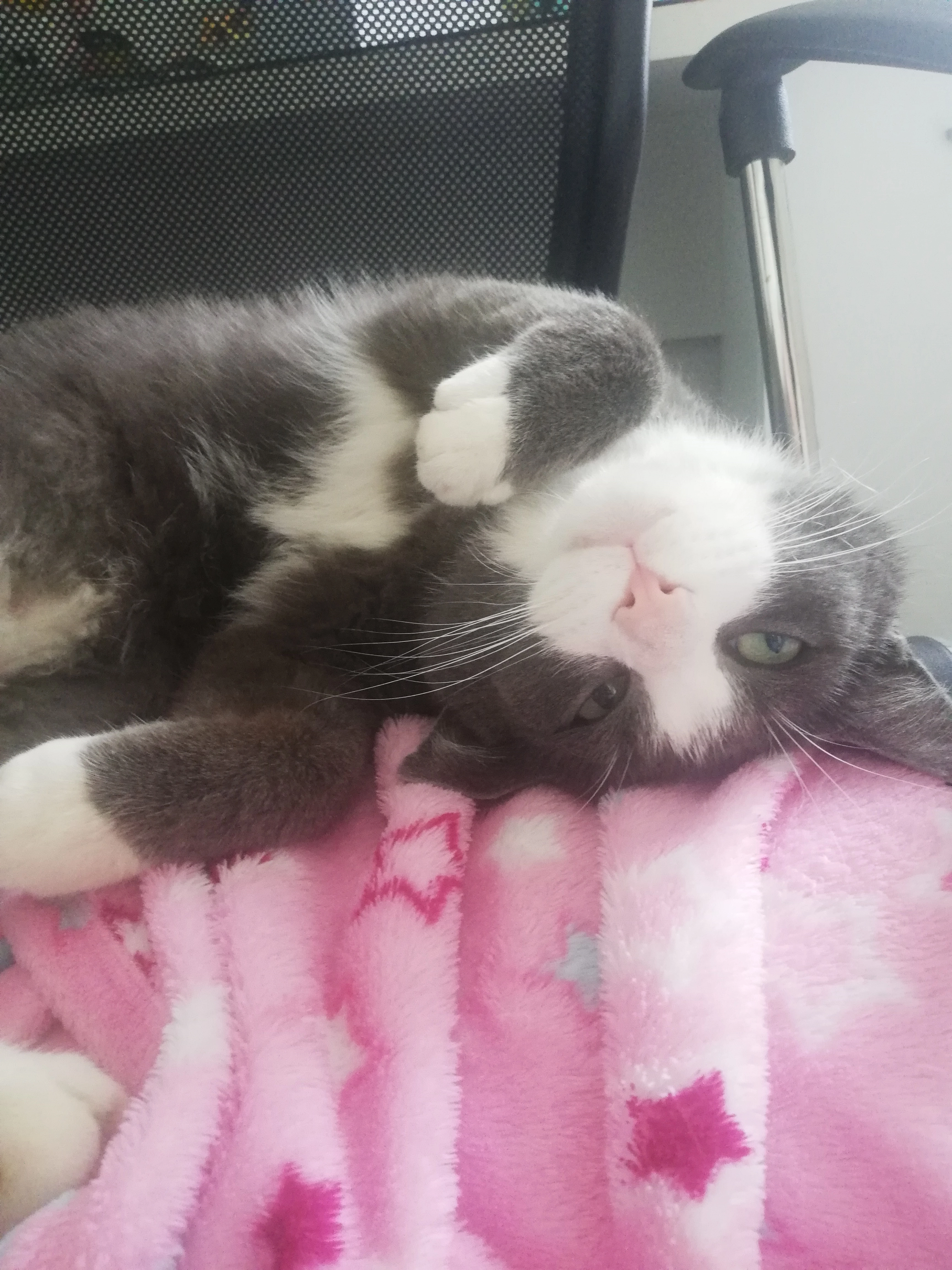 Kalle - Sollachstraße, Germersheim