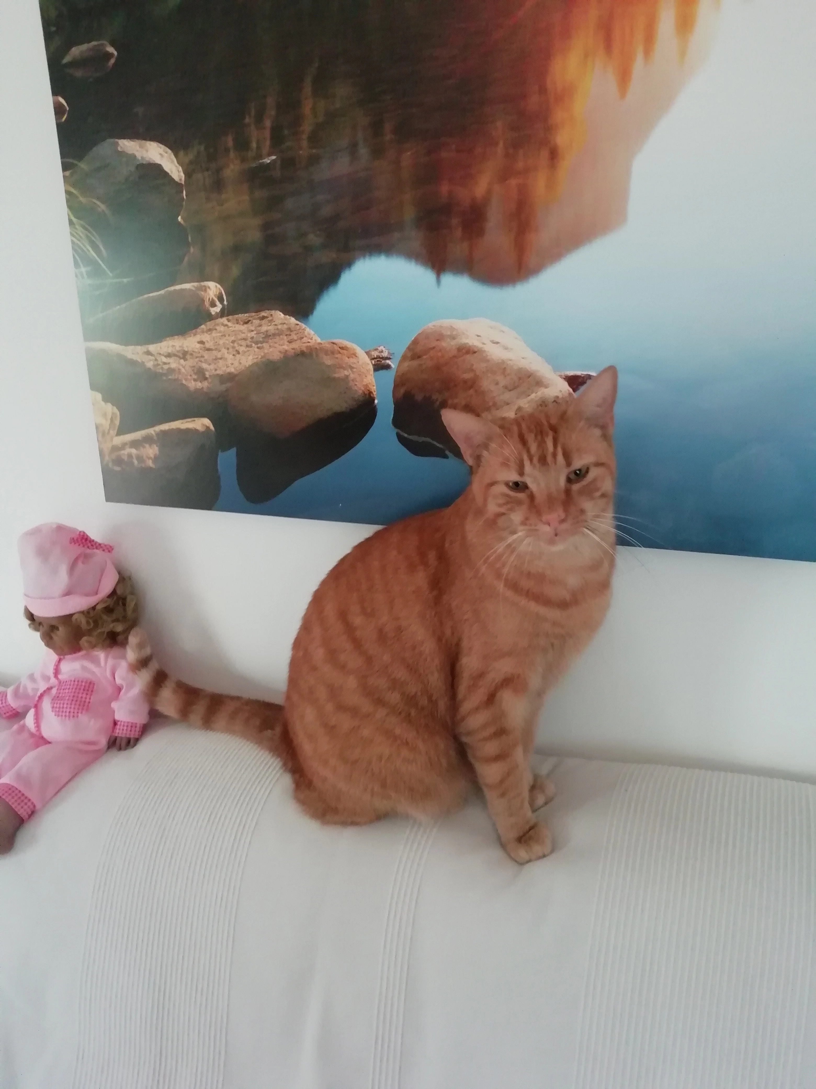 Leo - Via 40 Triscina, Castelvetrano