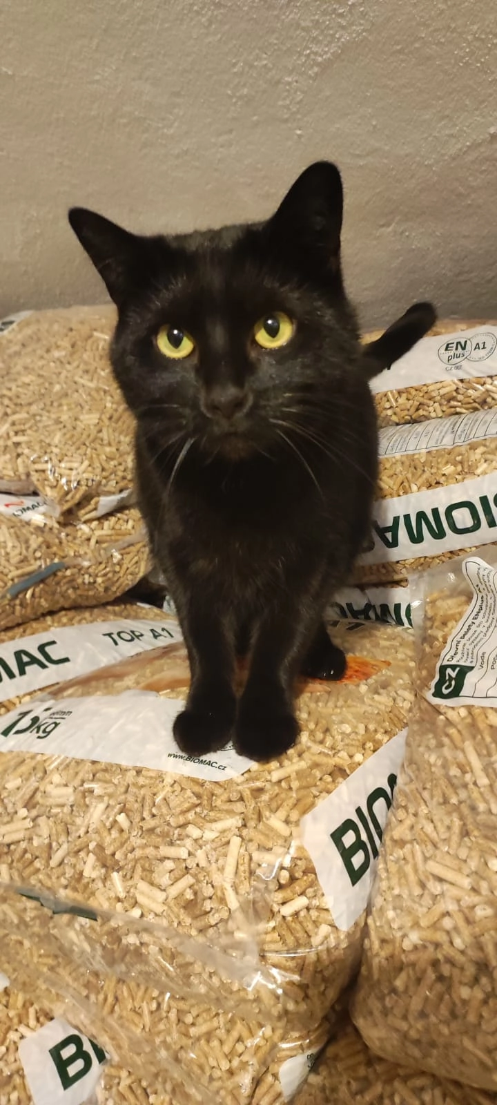 Lee - Grünbach 11, Gunskirchen