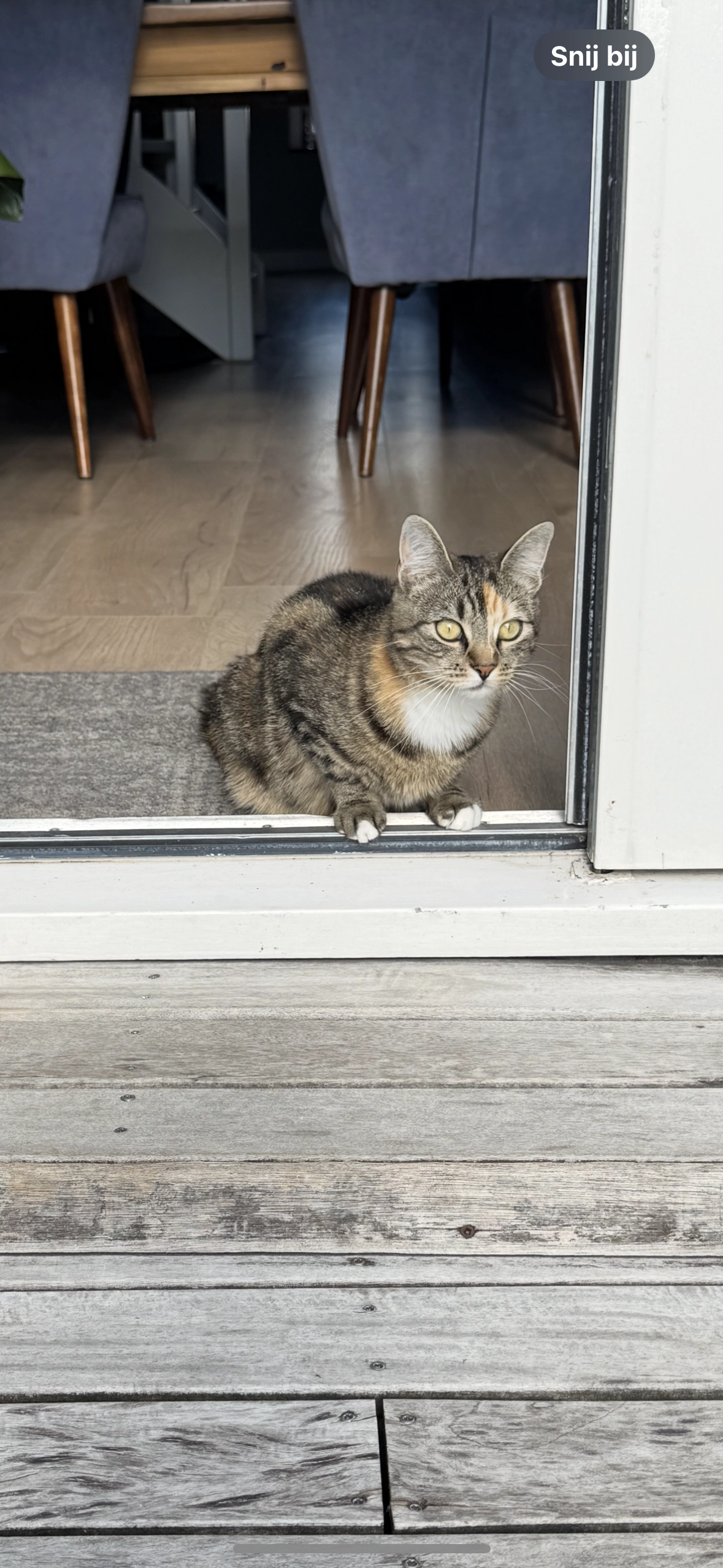 Pim (pimmetje) - Monseigneur Zwijsenplein, Kerkdriel