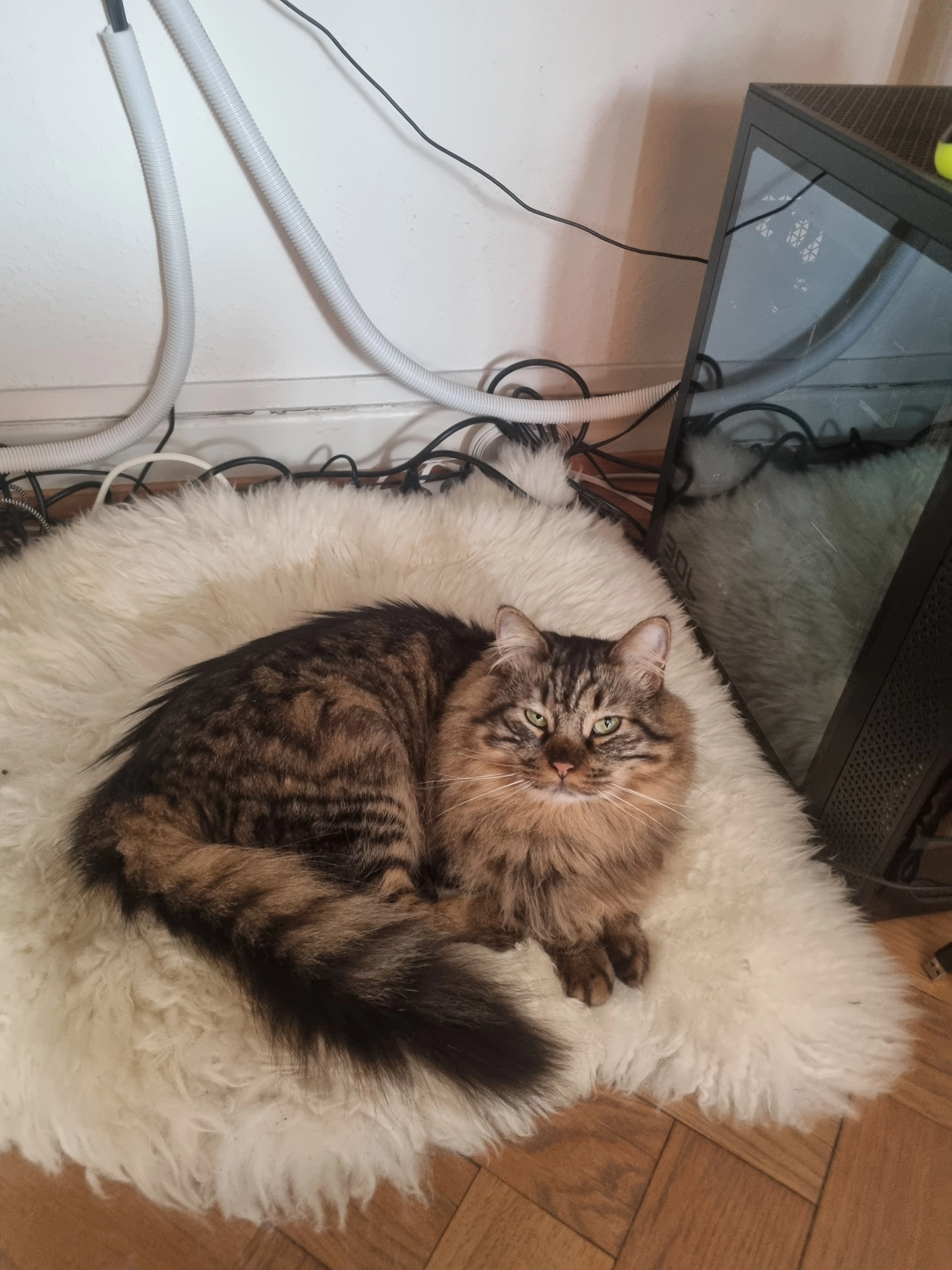 Kratos (nom usuel) - Route De Juvigny, Jussy