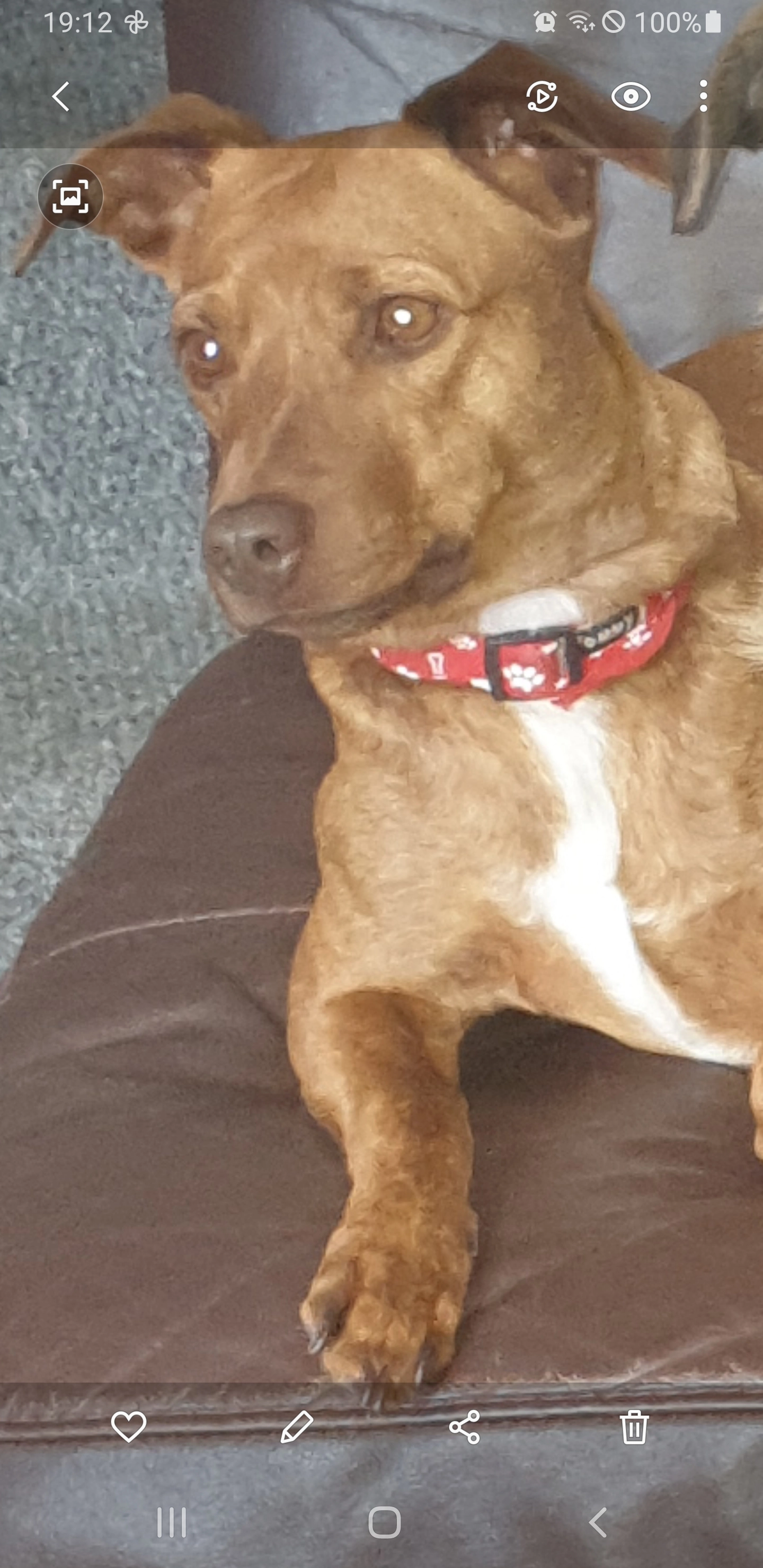 Liza - CV1 2, Coventry