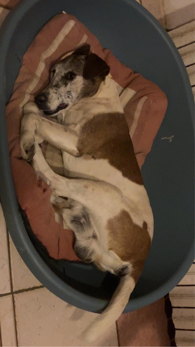 Jocker - Les Grandes Bruères, Neuvy-le-Roi