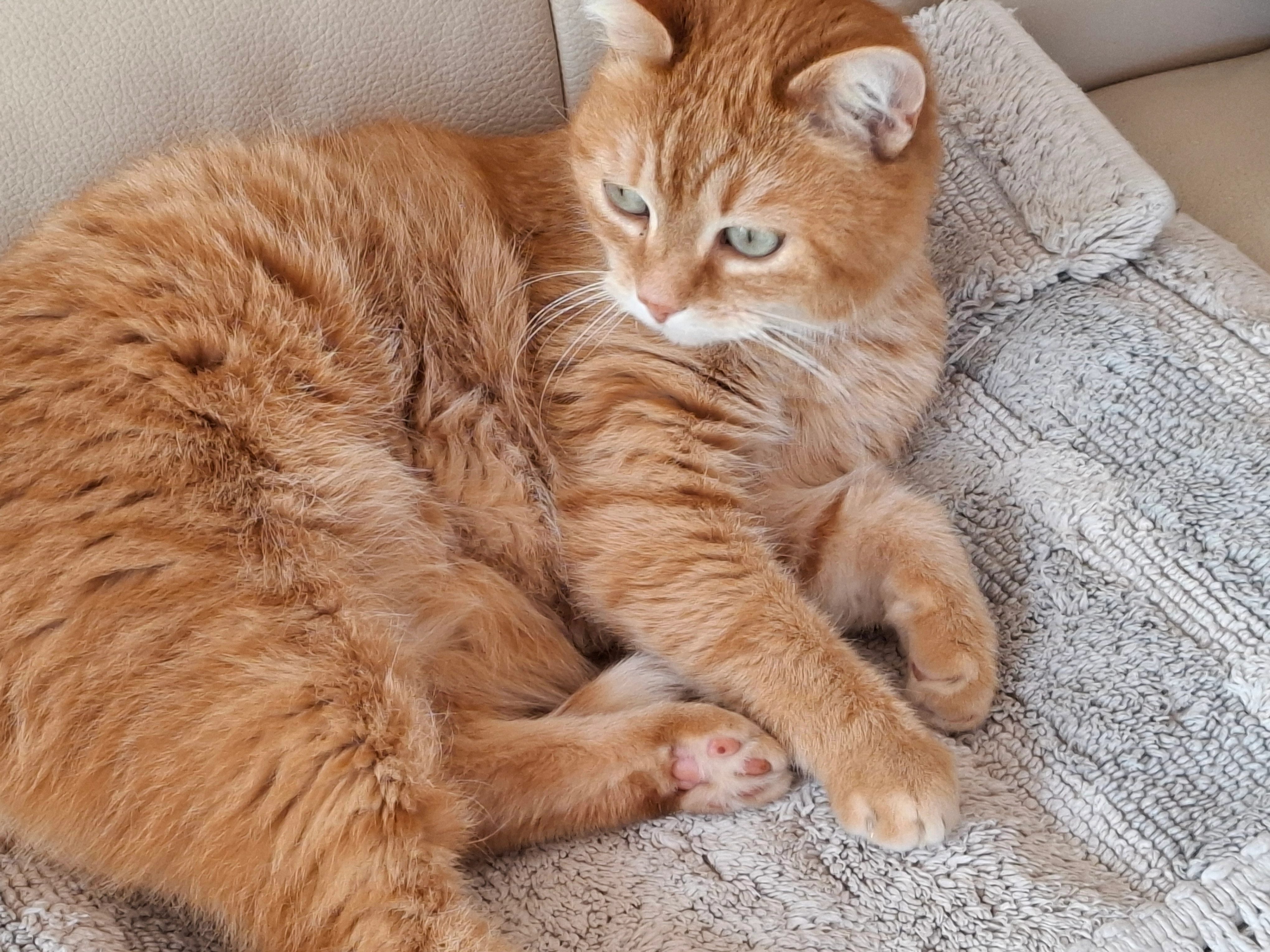 Mirabel - 24380, Vergt