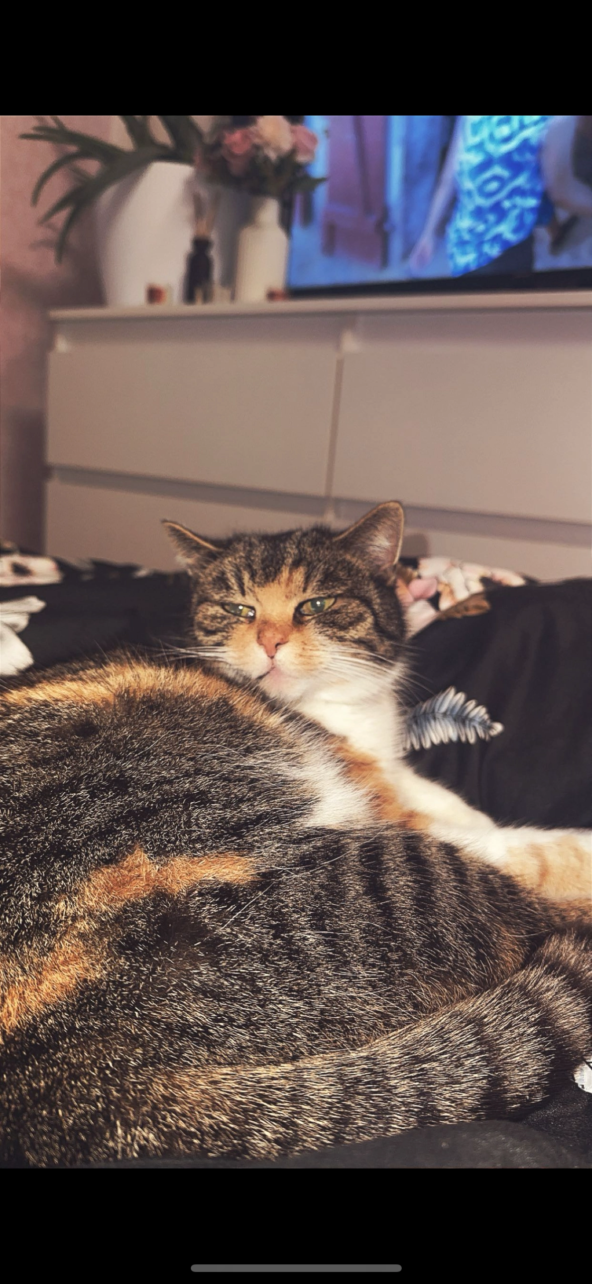 Püppi - Stuibenweg, Betzigau