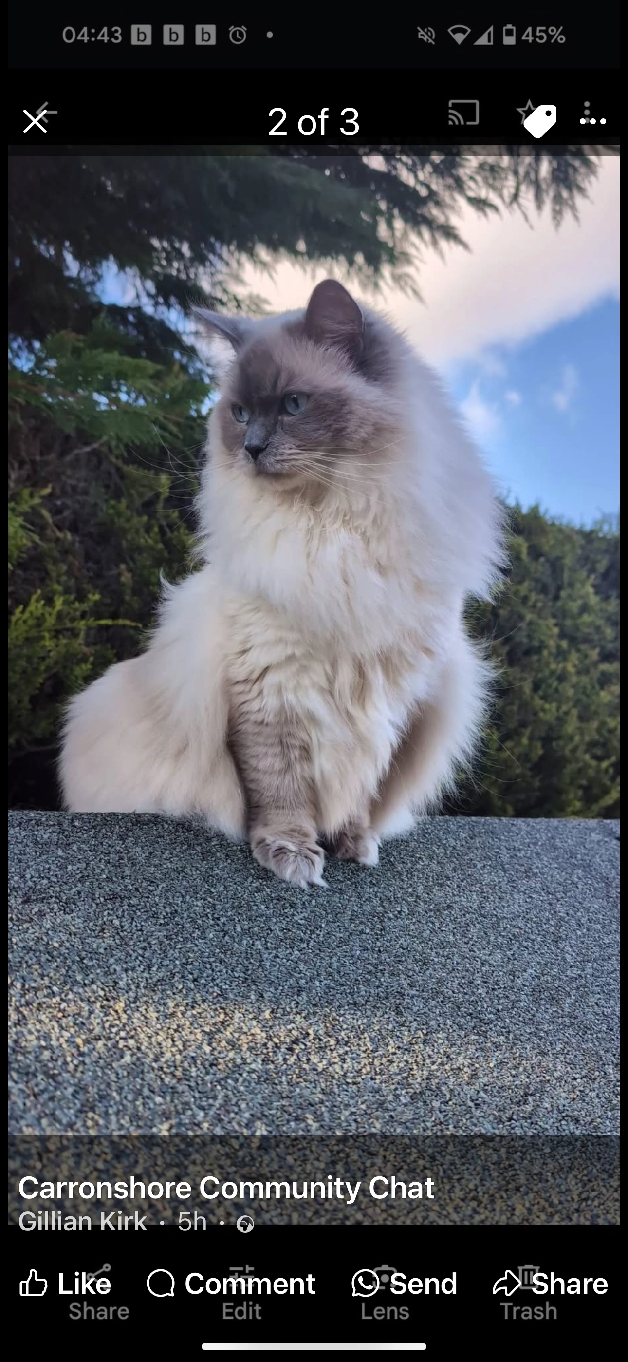 Perry - Chapel Crescent, Falkirk