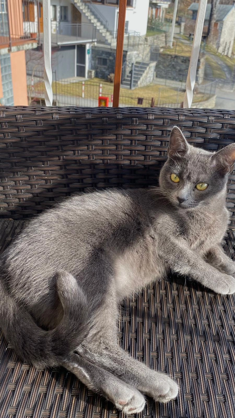 Milka  - Via Silvio Pellico, Novate Milanese