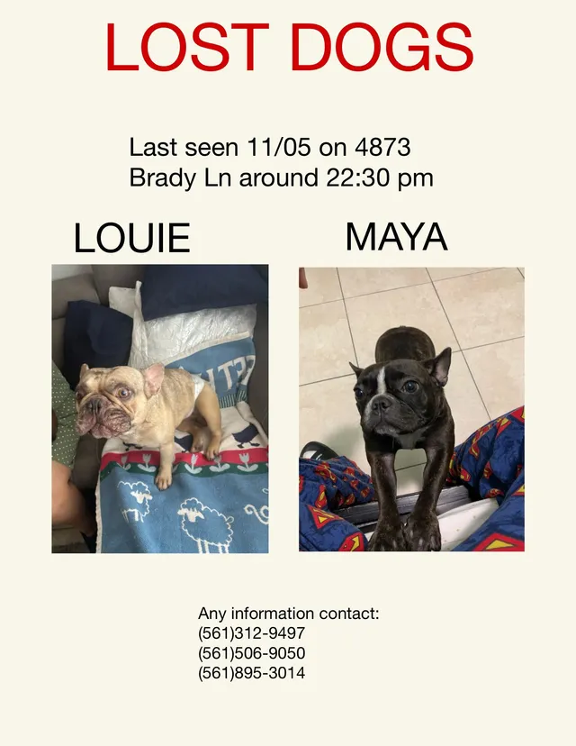 Louie - 4873 Brady Ln, Palm Beach Gardens