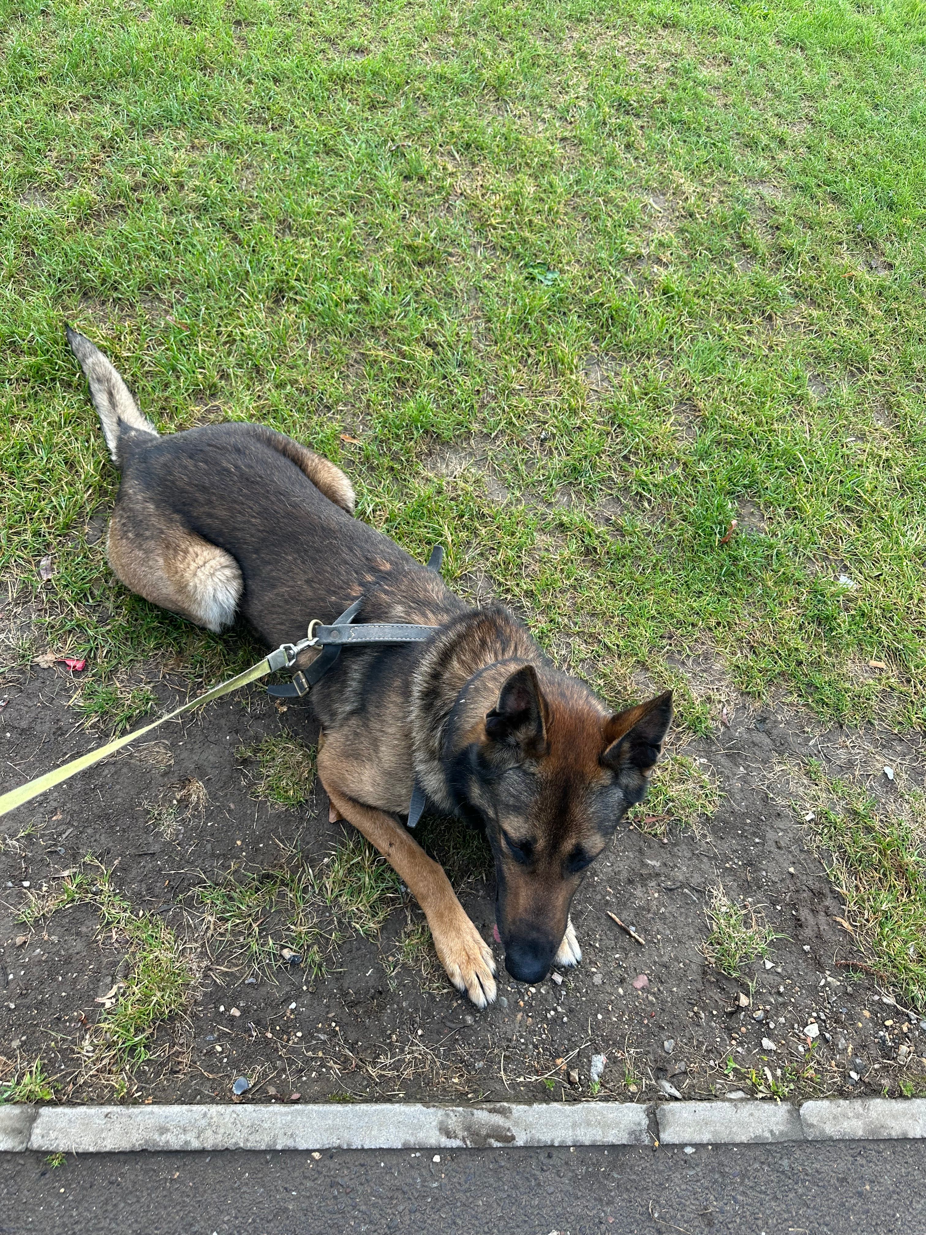 Solo - Basing View, Basingstoke