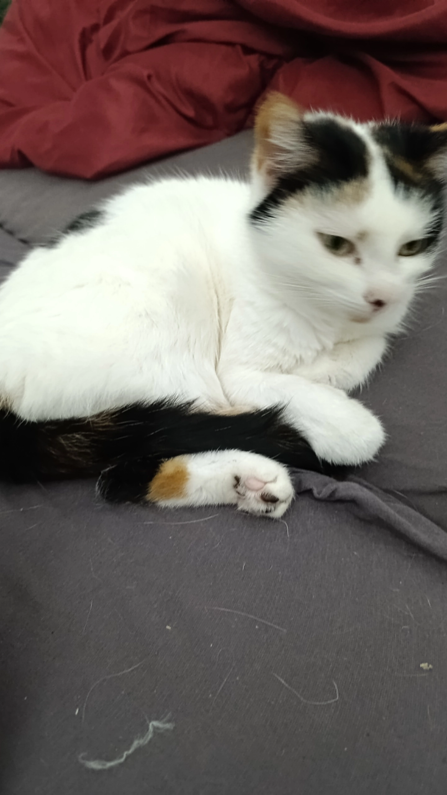 Nala - Lohmühlenweg, Arnstadt