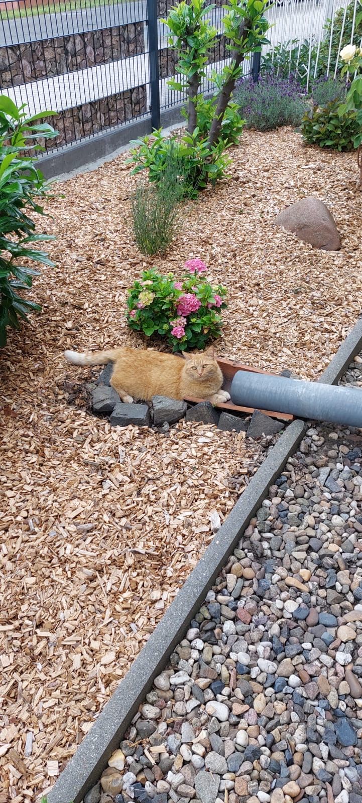 Lola - Torgauer Straße, Uebigau-Wahrenbrück