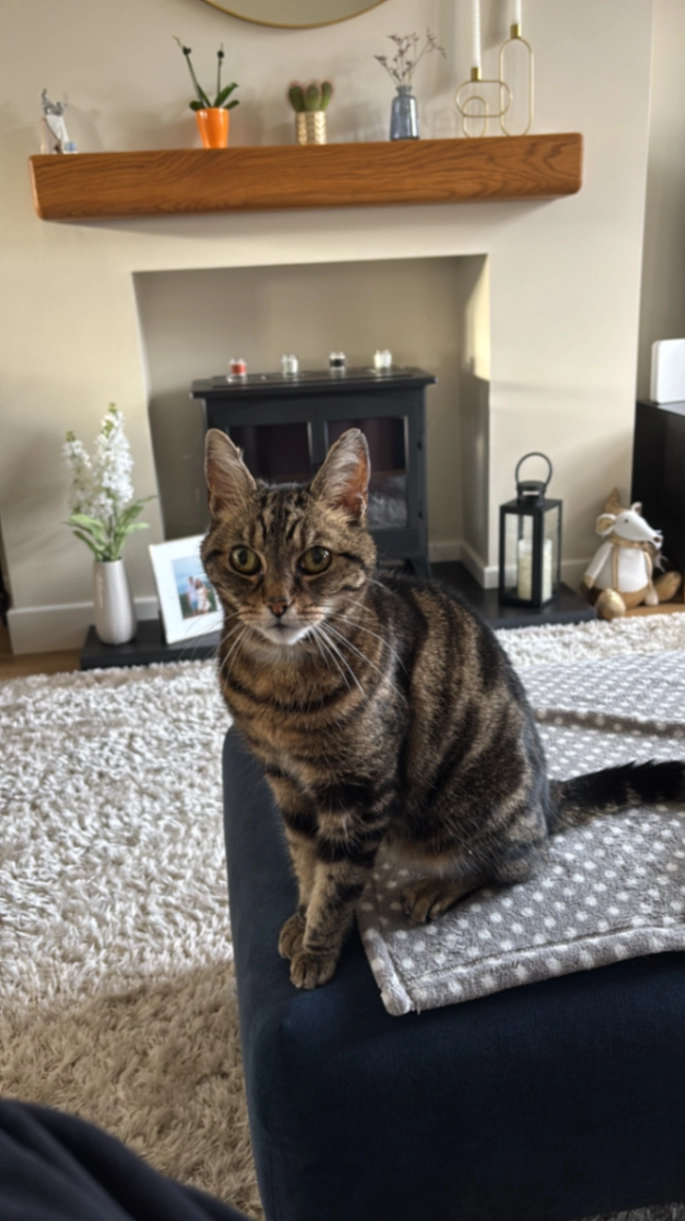 Buster - Darlington Road, Stockton-on-Tees