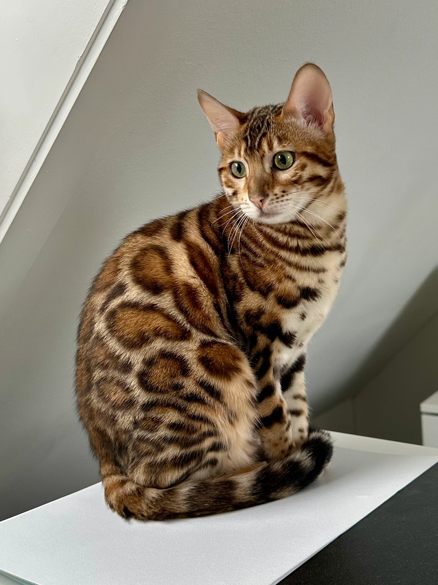 Linda - Küchlibergstrasse 22, Hettlingen