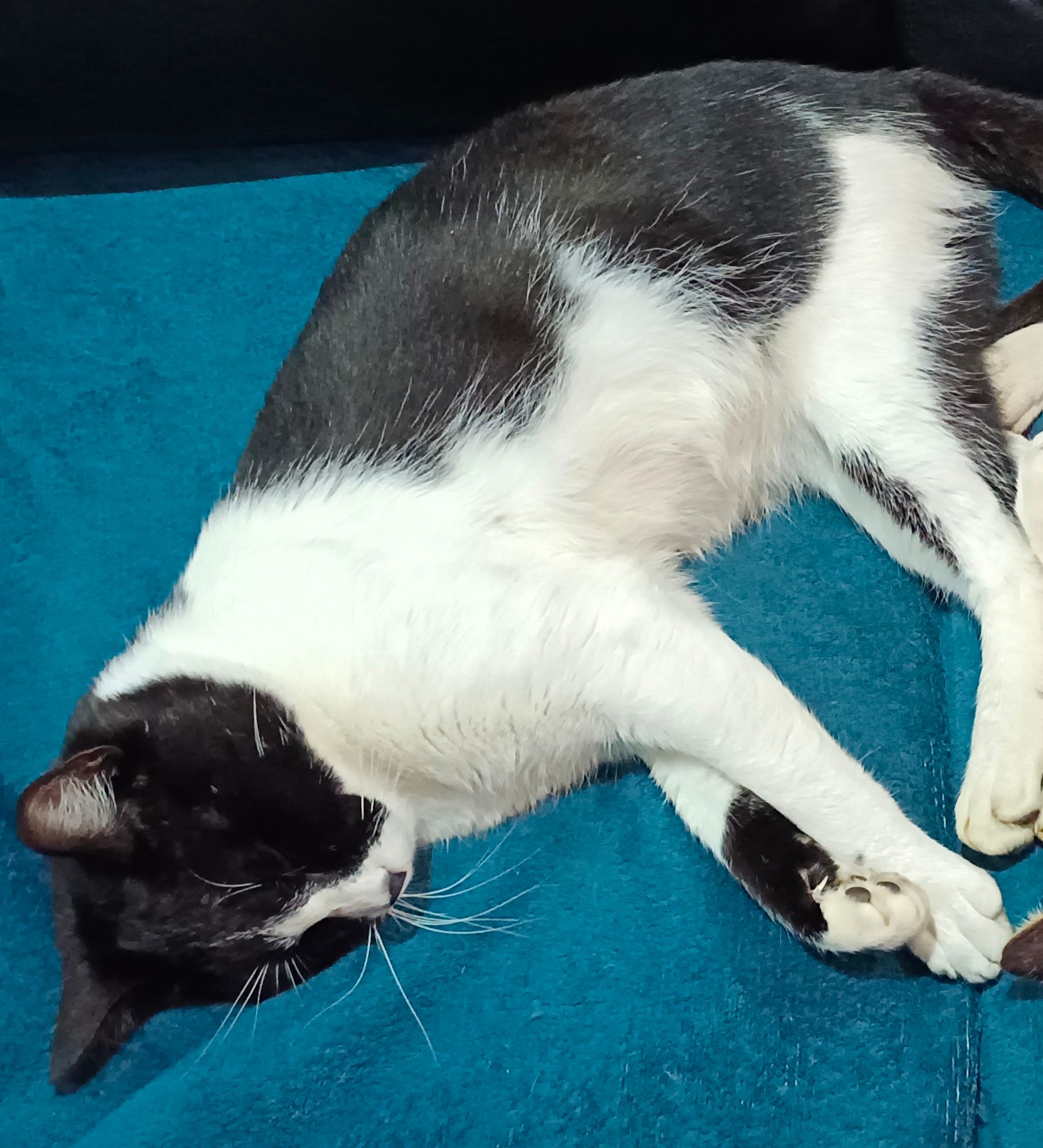 Botín - Kalea Valle Errekalde, Lezo