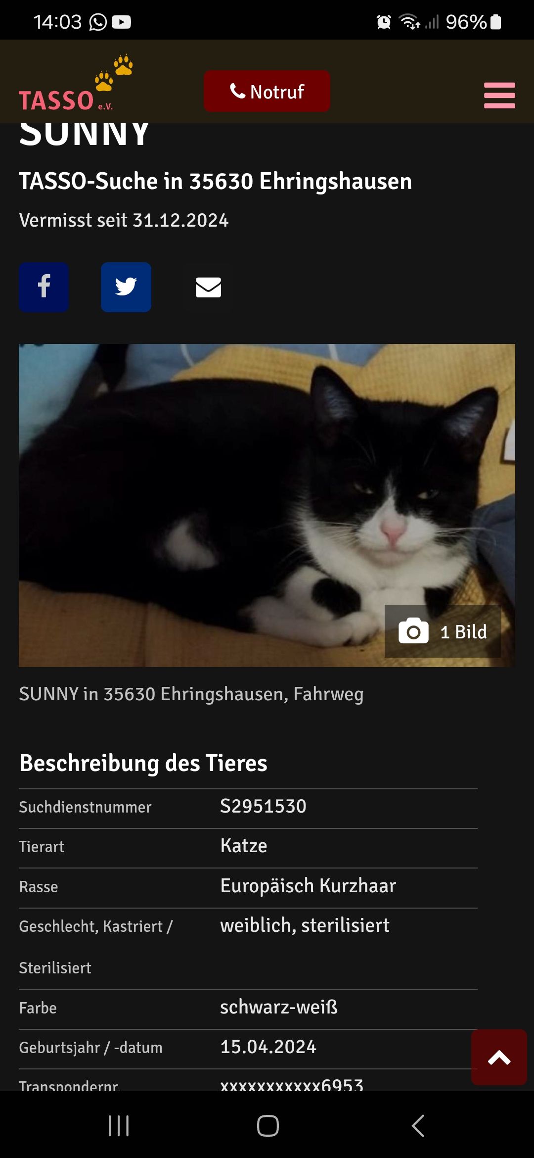 Sunny - Fahrweg, Ehringshausen