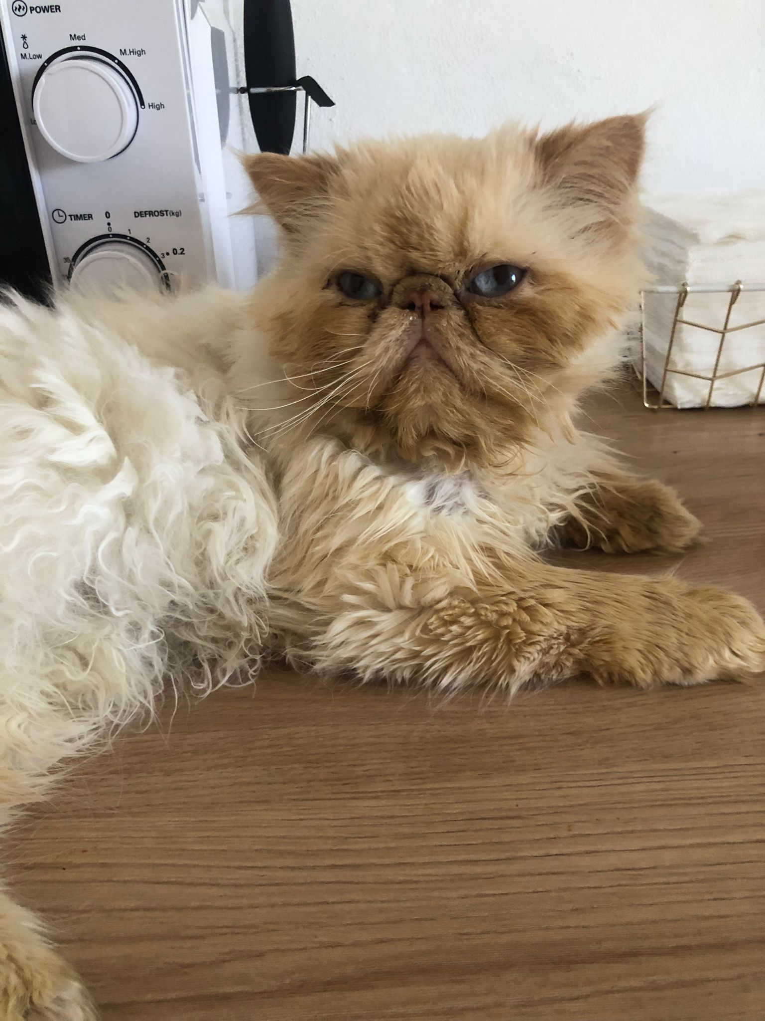 Leonidas  - Calle de Francisco de Paula Valladar Serrano, Granada