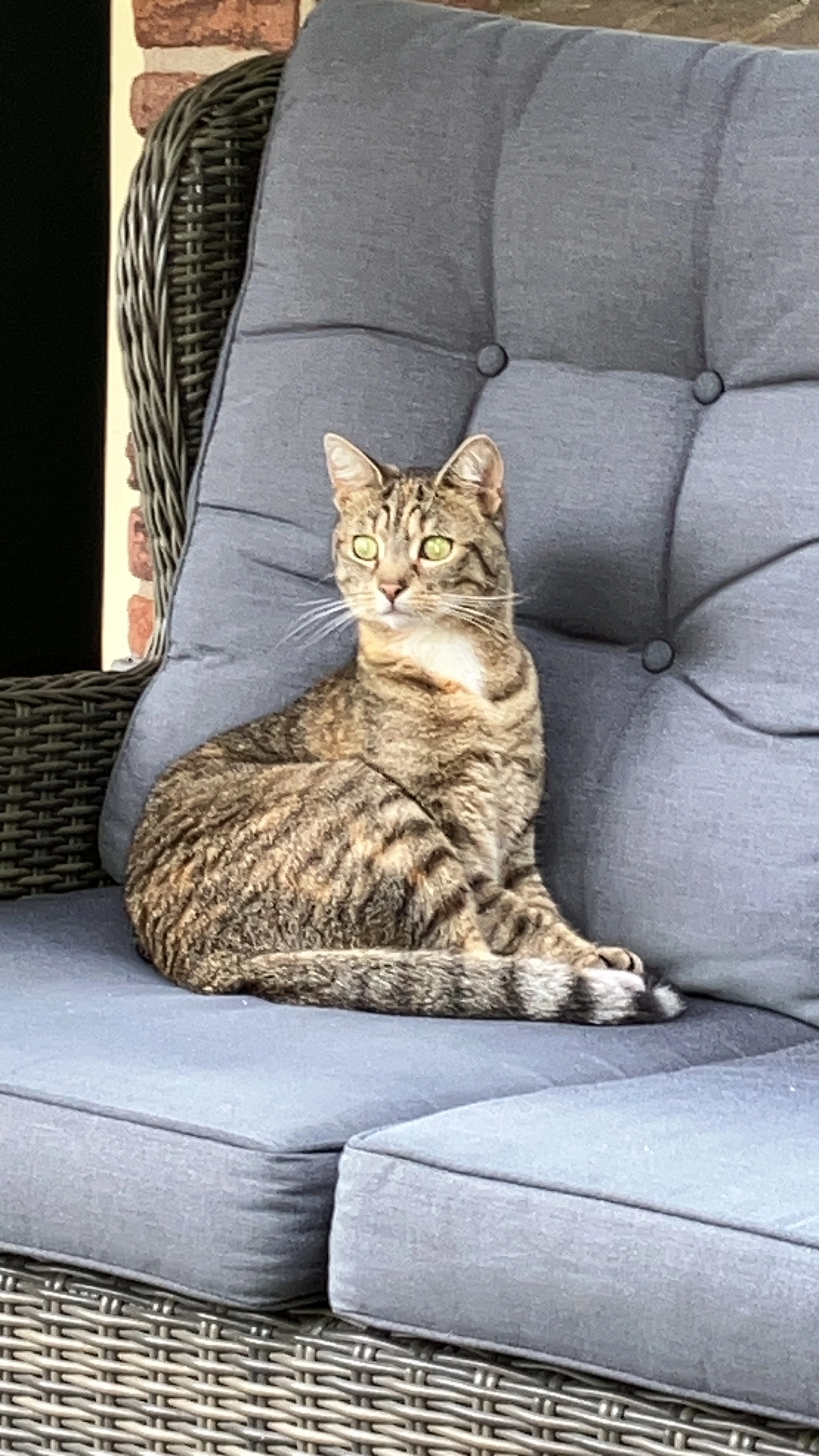 Mia - Onsteinseweg, Kranenburg