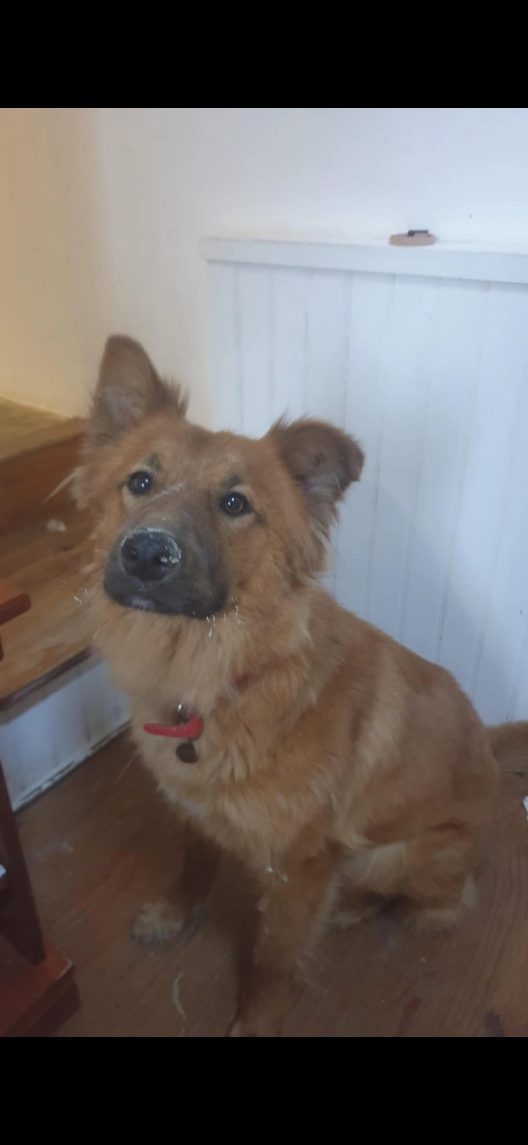 Robbie - Les Hubacs, Dieulefit