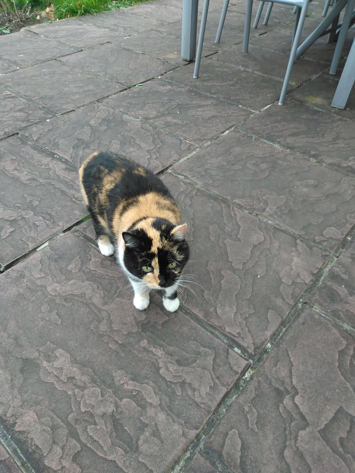 Spooky - Bredepleinstraat 89, Boortmeerbeek