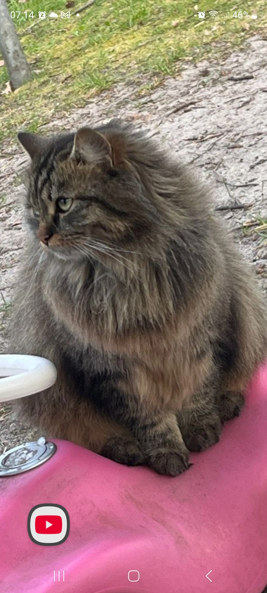 Maria - Winkelweg, Soltau