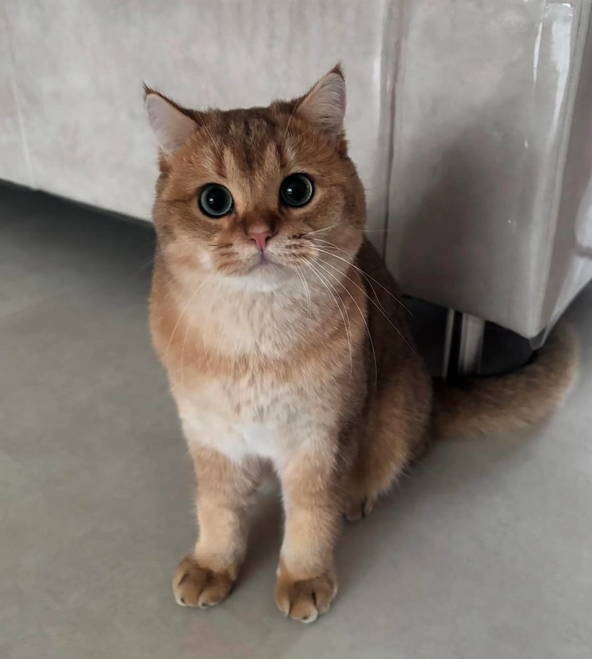 icardi - Auf Dem Damm, Ahlen