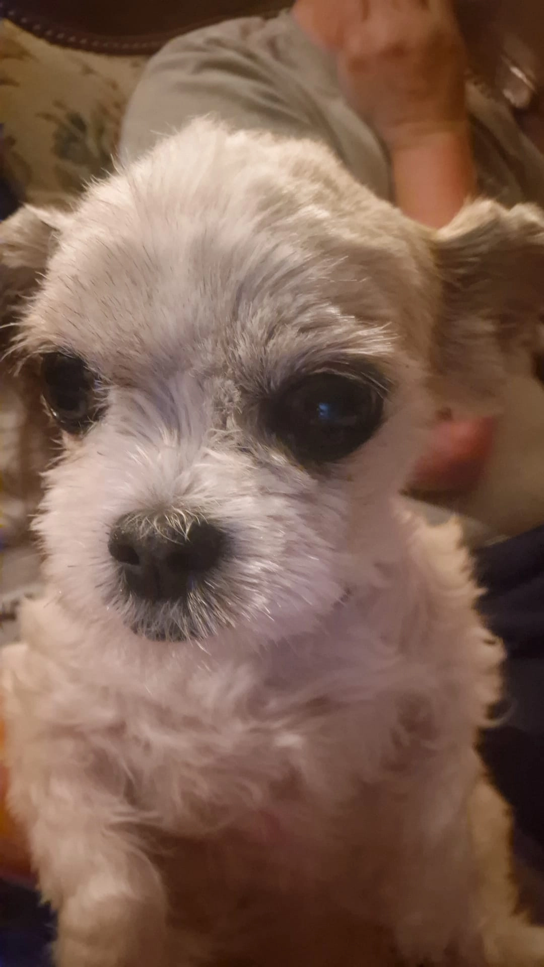 Megui - Chemin de l'Oratoire 35, Gibloux