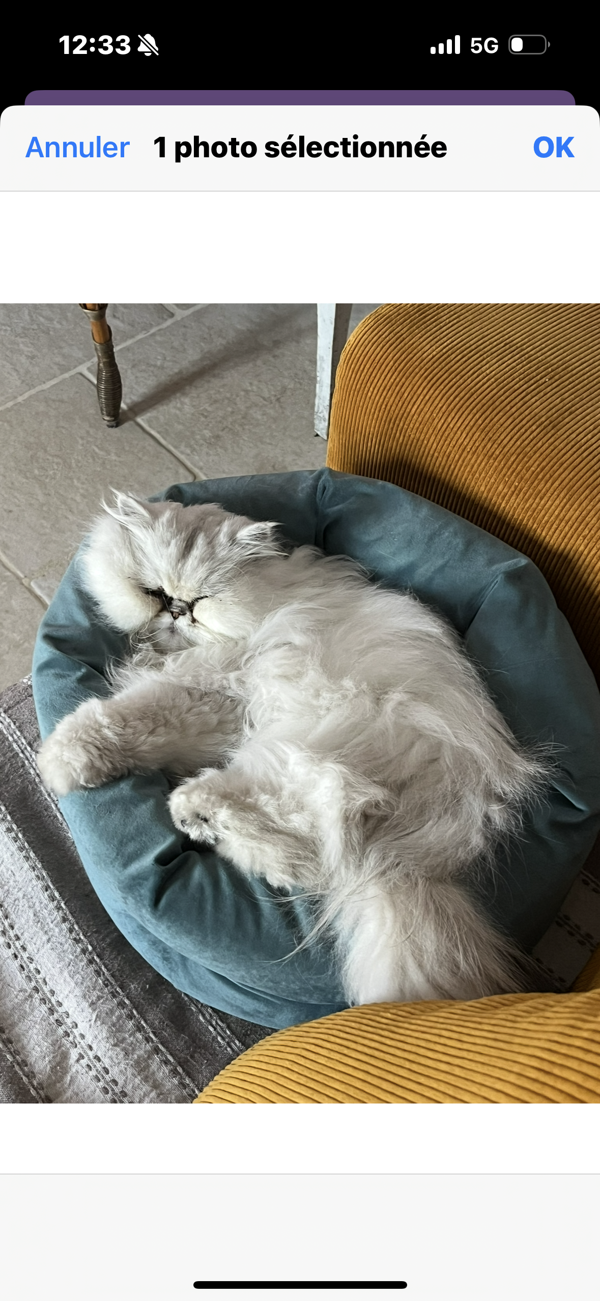 Rio - Rue Neuve, Villeneuve-la-Rivière