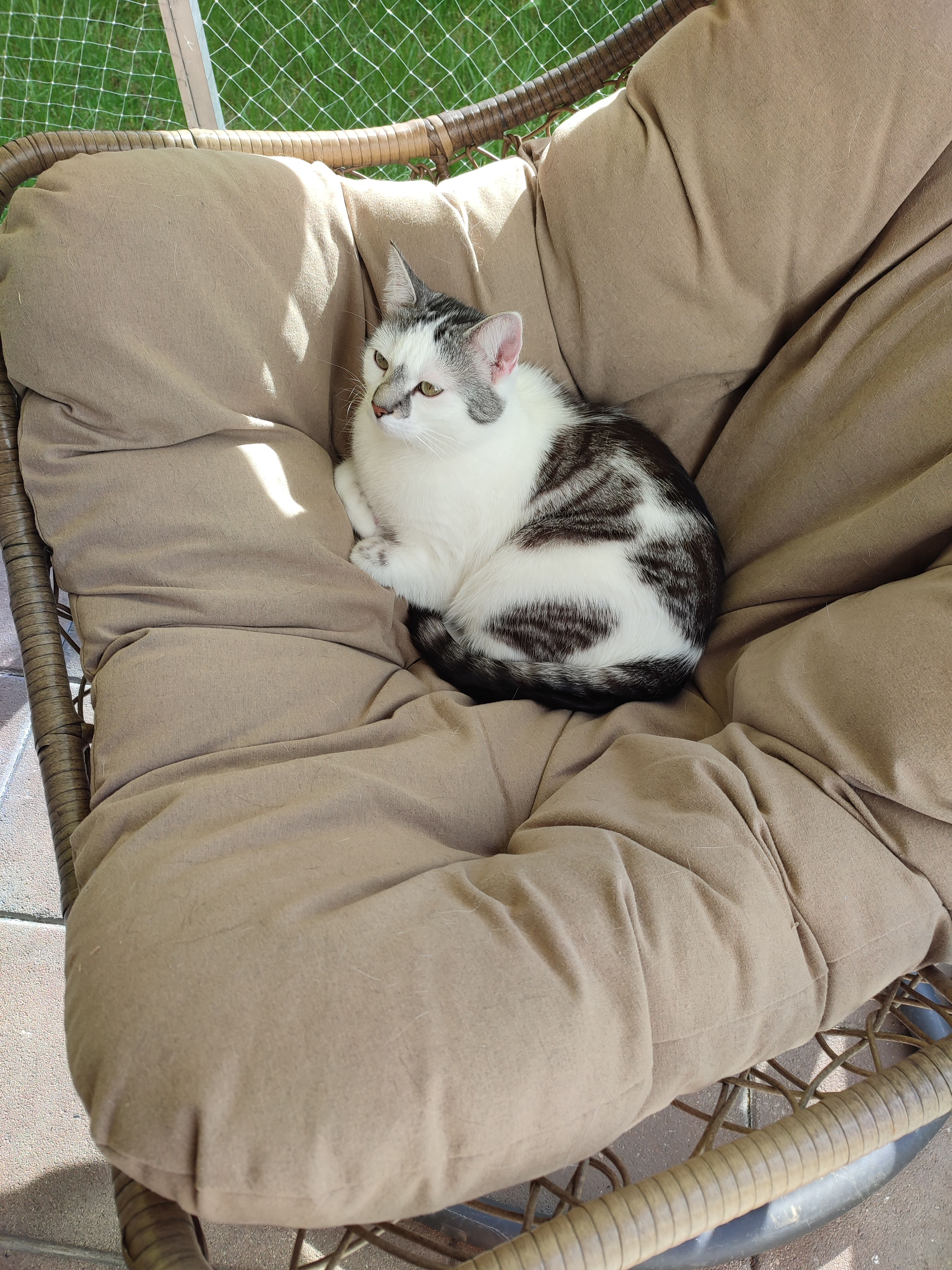 Loki - Lange Gasse 13, Wattens