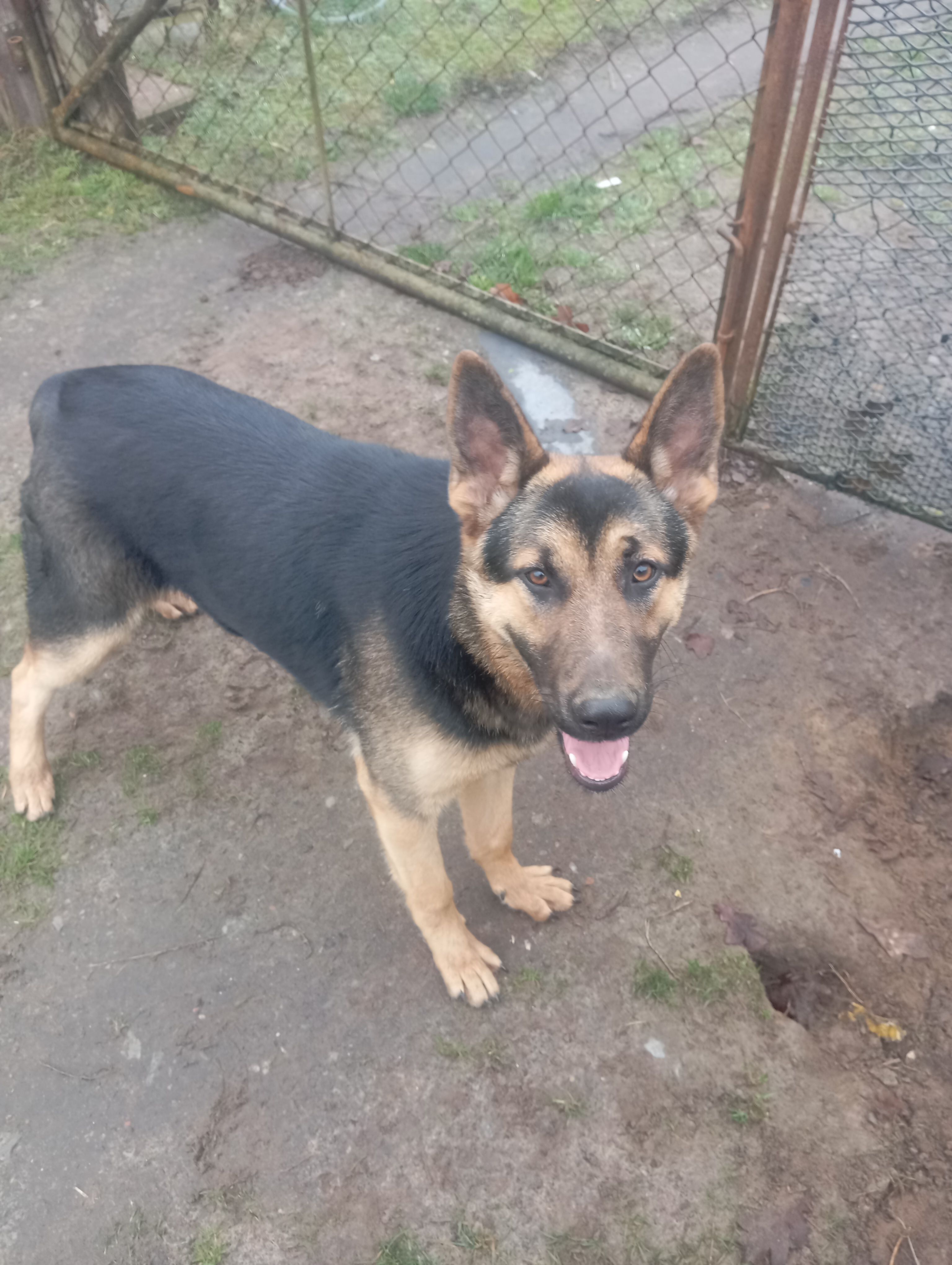 Püppi  - Dorfstraße 4, Cumlosen