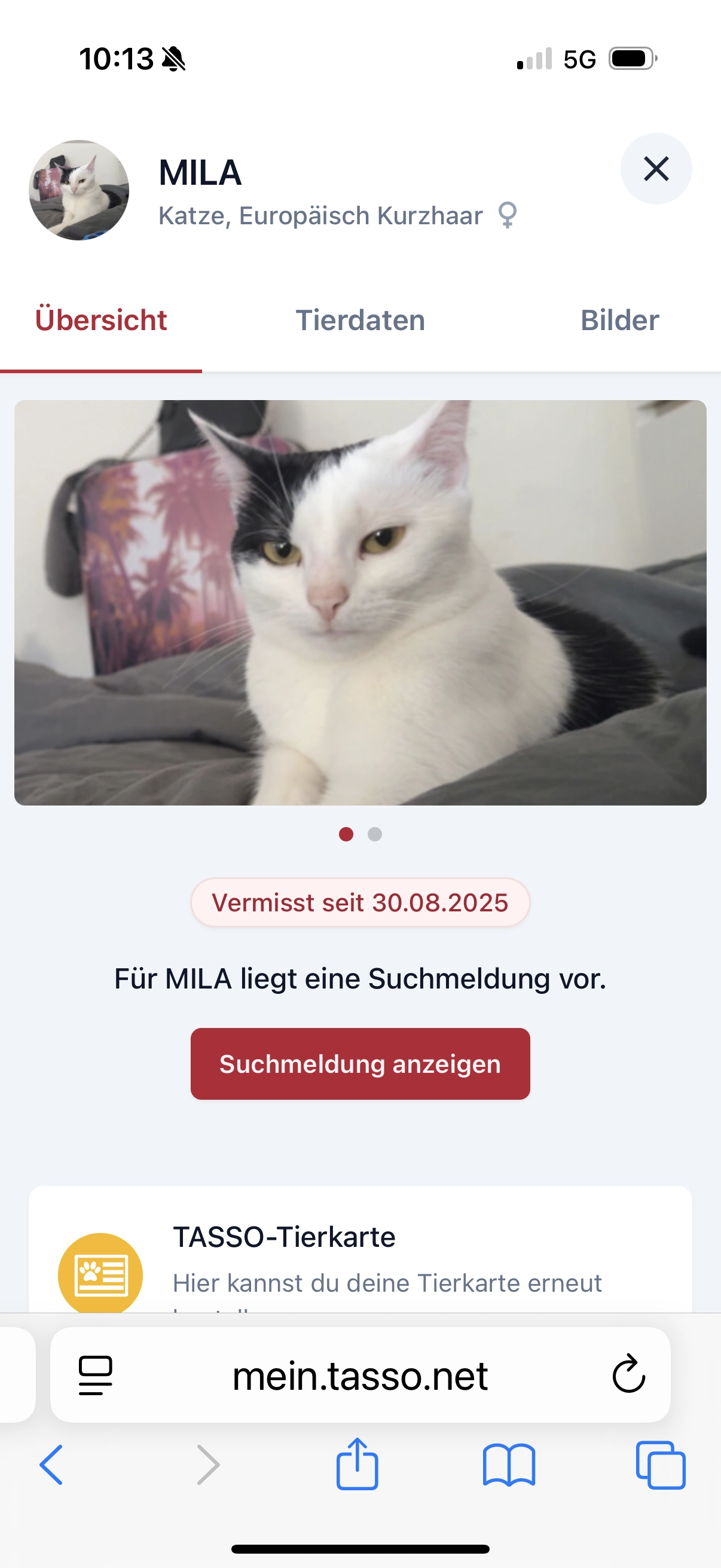 Mila - Maximilianstraße, Garmisch-Partenkirchen