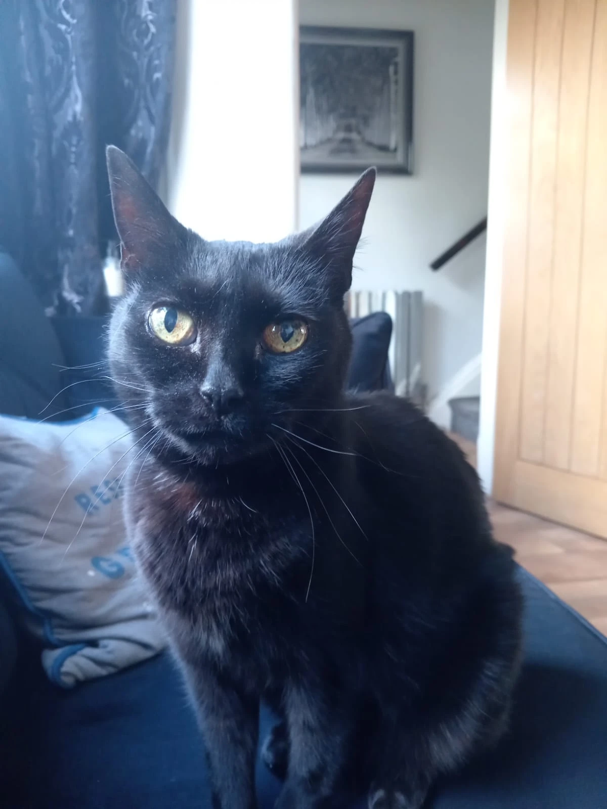 Narla - Albert Gardens, Manchester