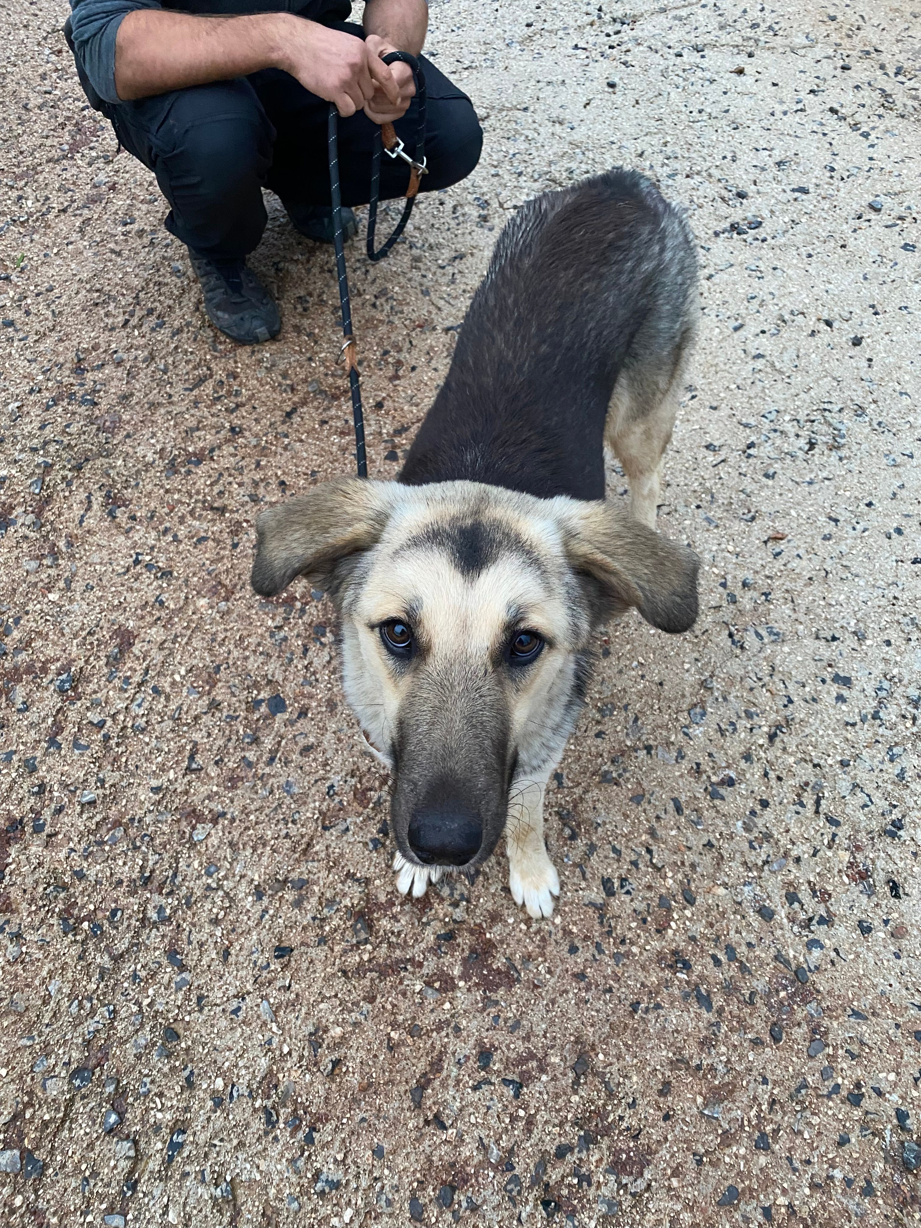 Vita - Κοκογκίνη, Markopoulo