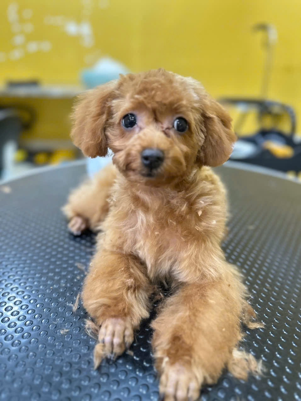 Luck - Road No.1 , Ho Chi Minh City