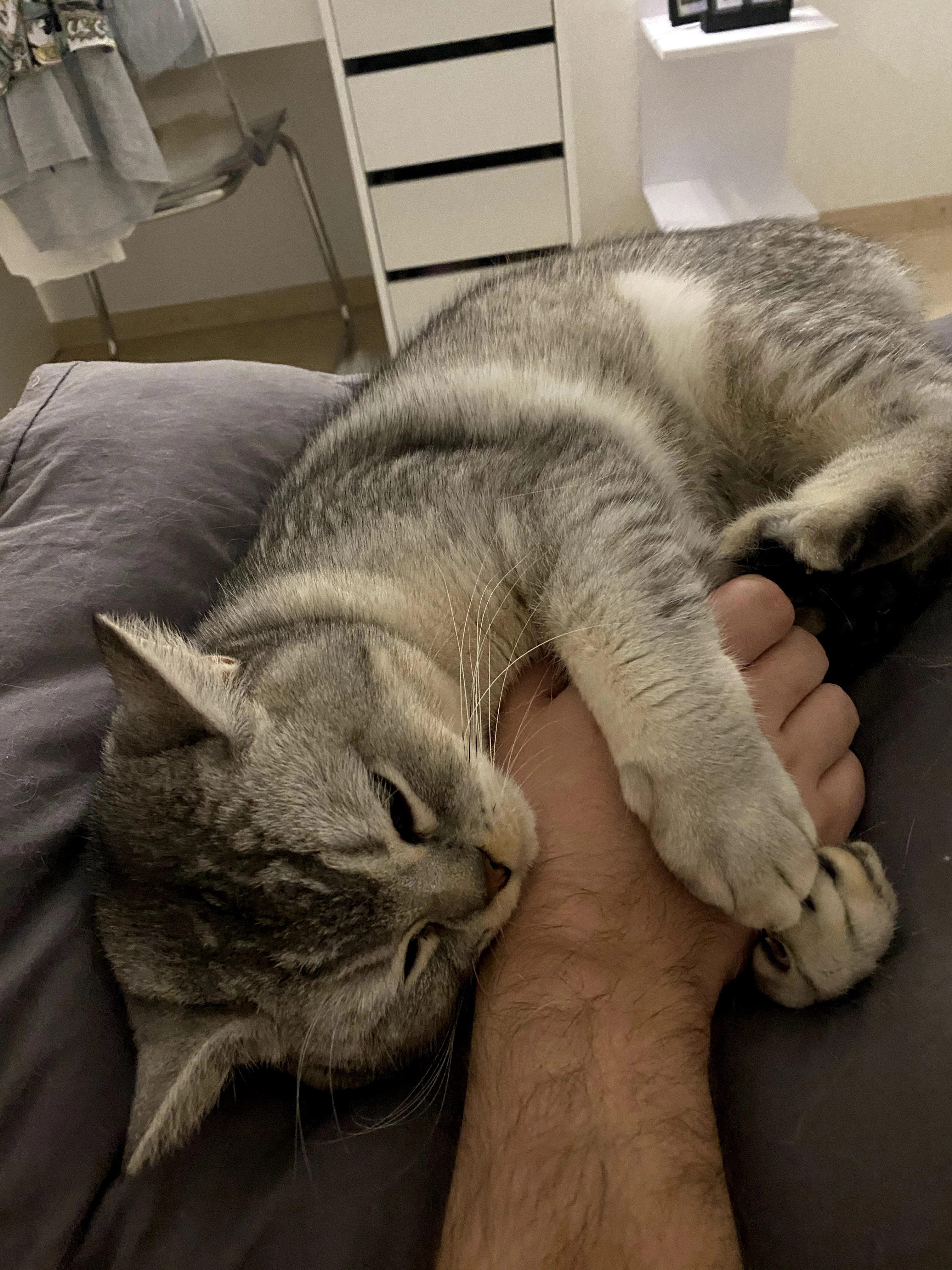 Stitch - Im Westerfeld, Aalen