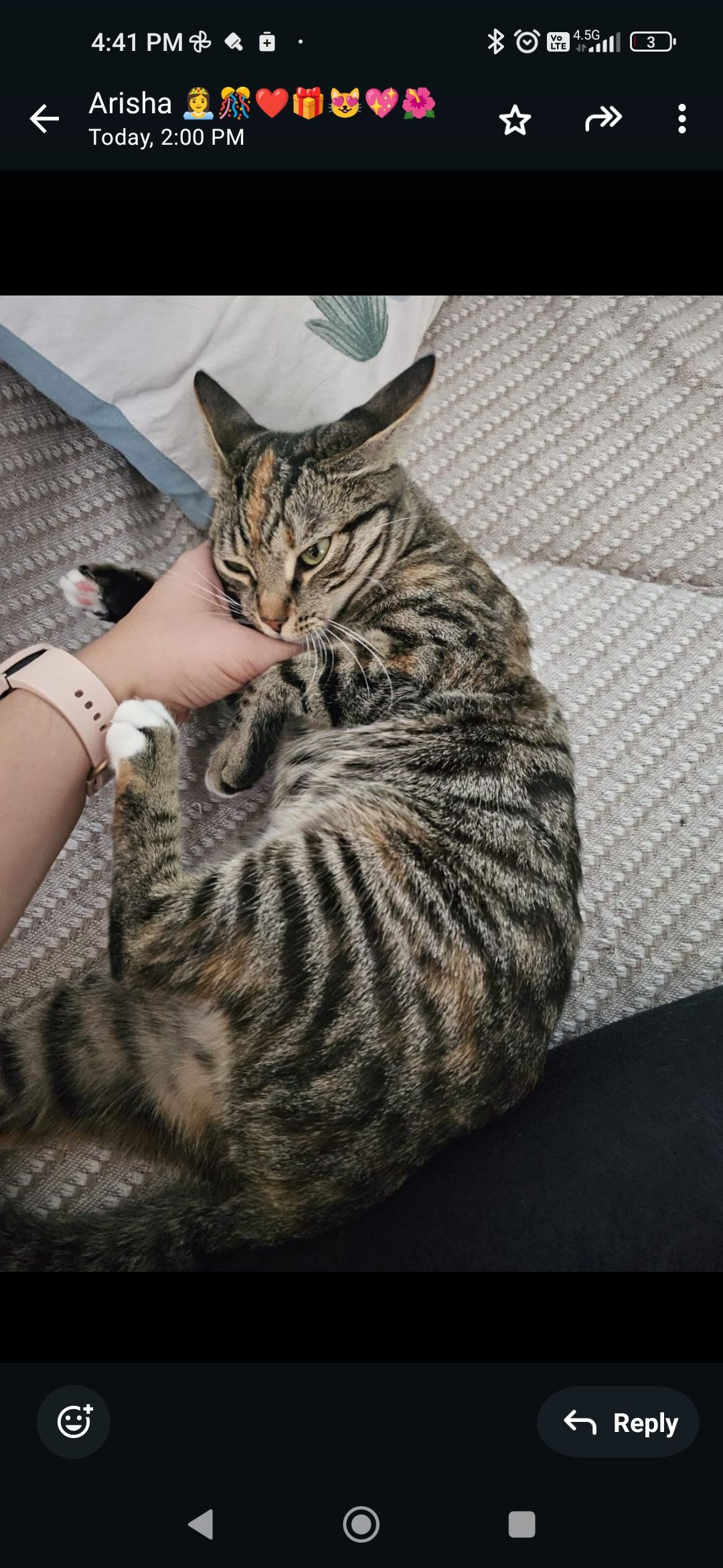 Tiger - 1332. Sokak güneşli park sitesi, Istanbul