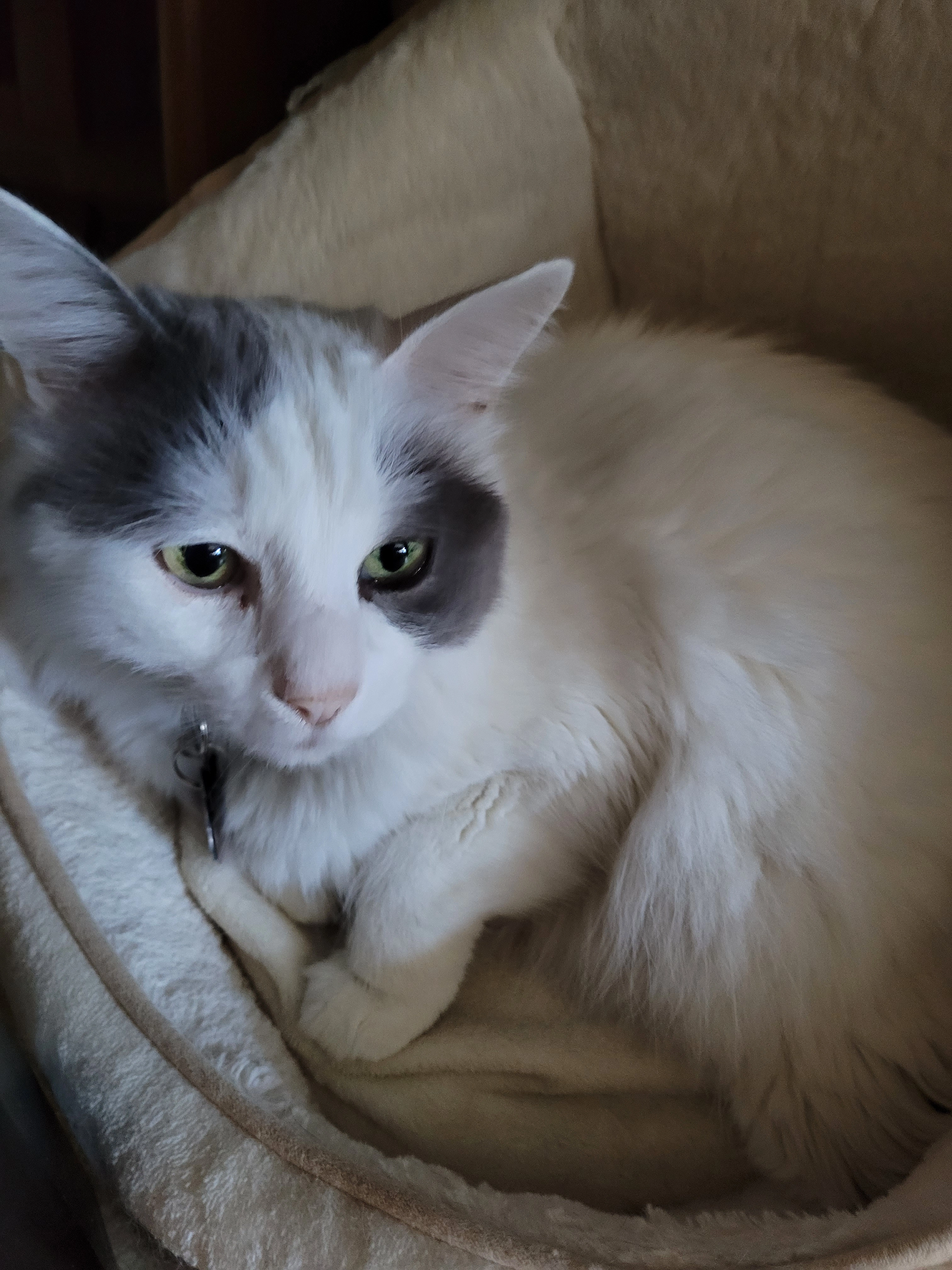 Istan - 3 Rue Xavier Grall, Saint-Brieuc