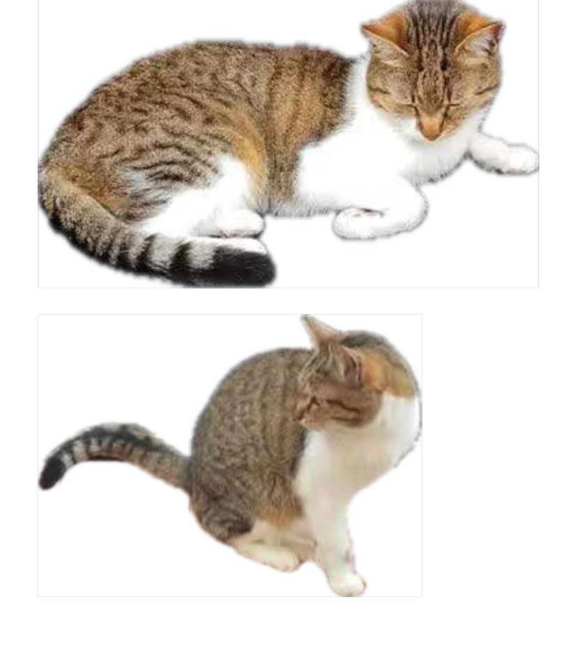 IPA - 102, Belogradchik