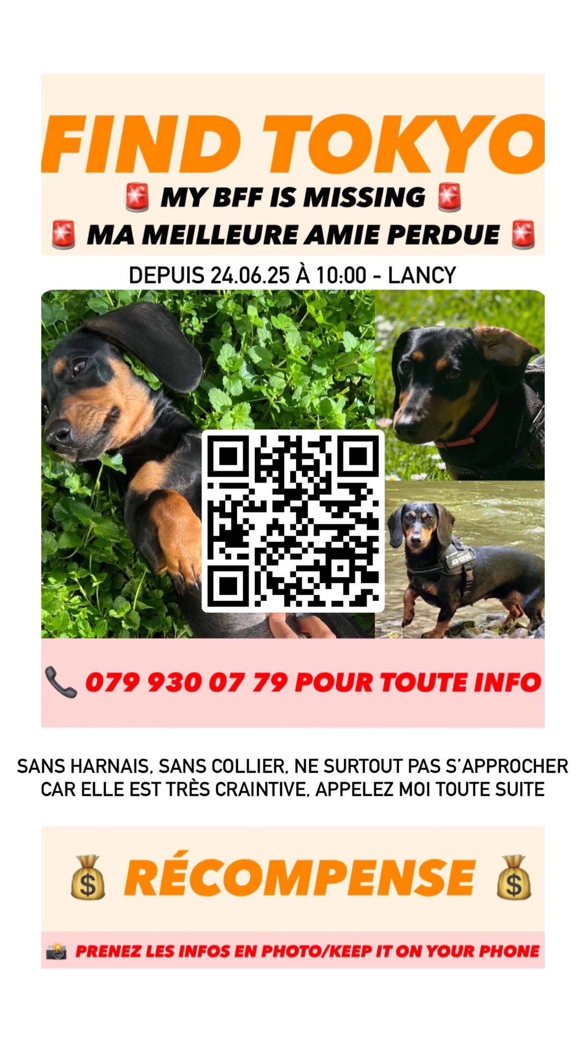 Tokyo - Avenue des Communes-Réunies 2, Lancy