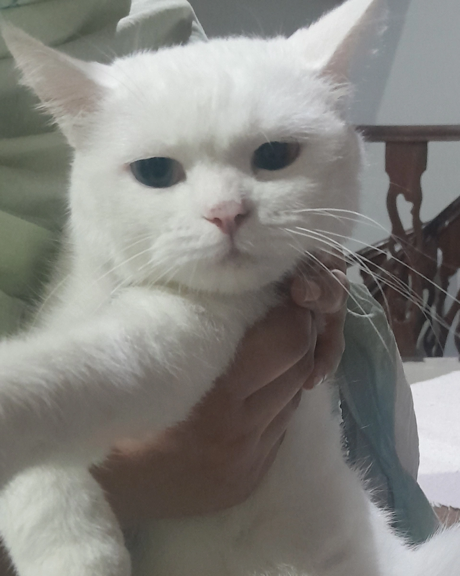 Jackie - Street 1, Bahria Town